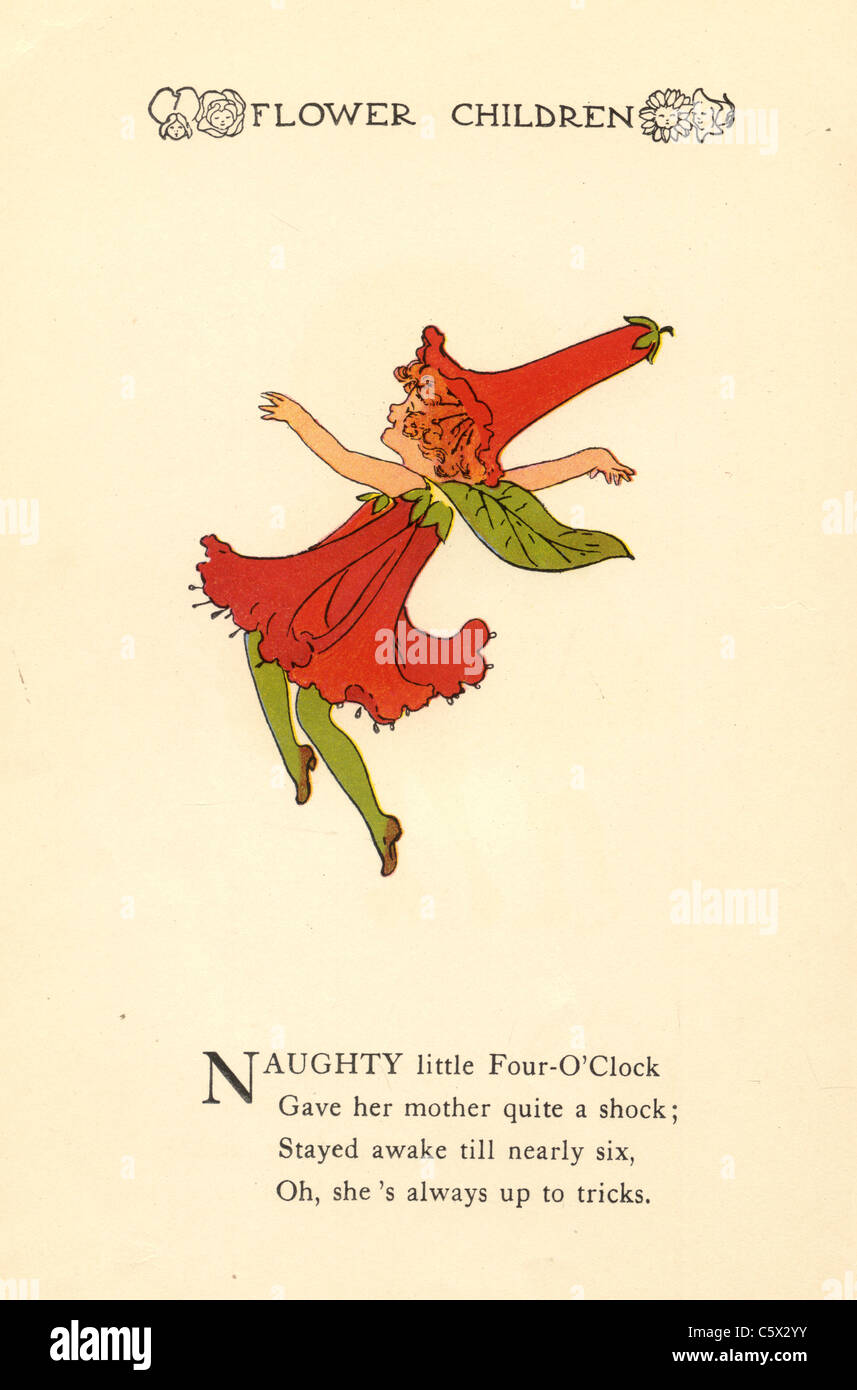 Four-O'Clock-Blume Kind Illustration aus einem antiquarischen Buch Stockfoto