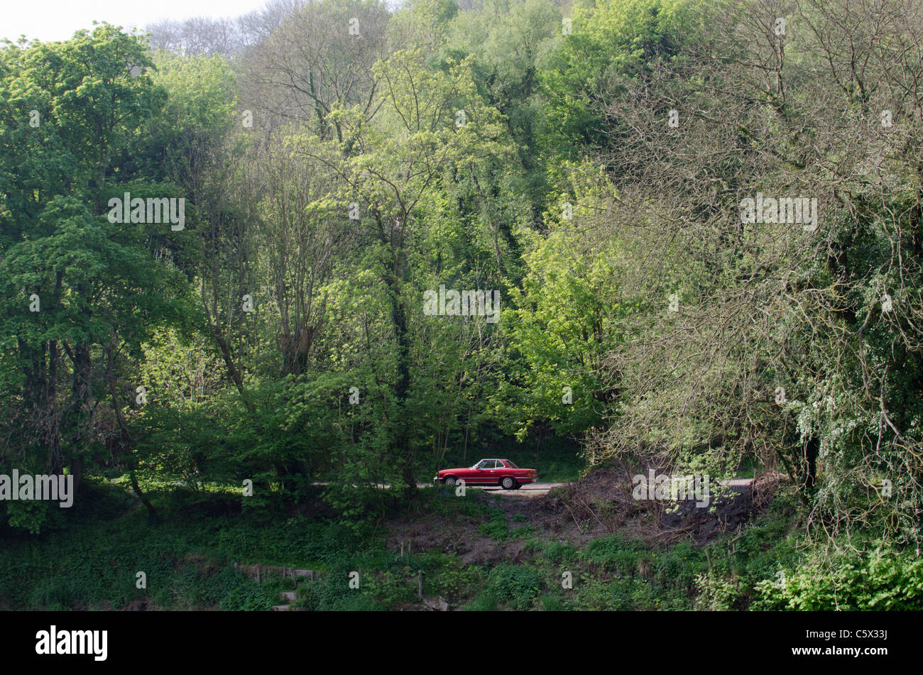 Roten Mercedes Limousine Stockfoto