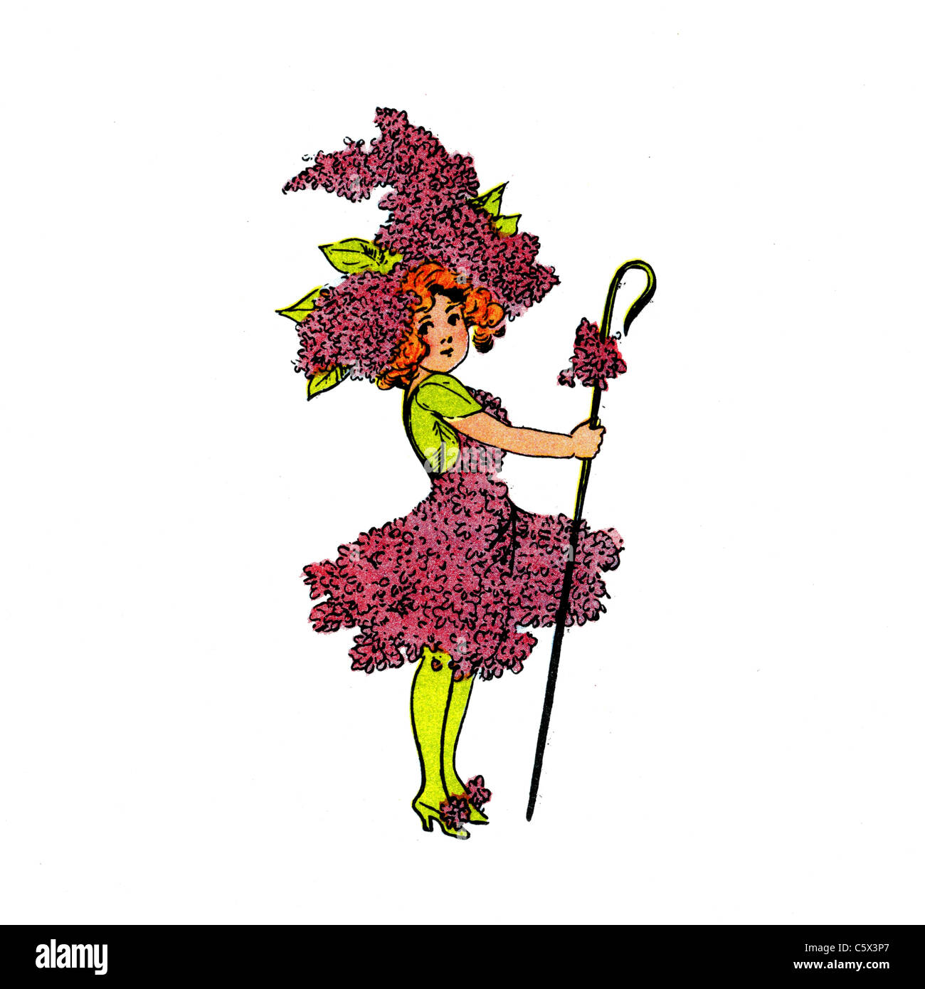 Flieder - Blume Kind Illustration aus einem antiquarischen Buch Stockfoto