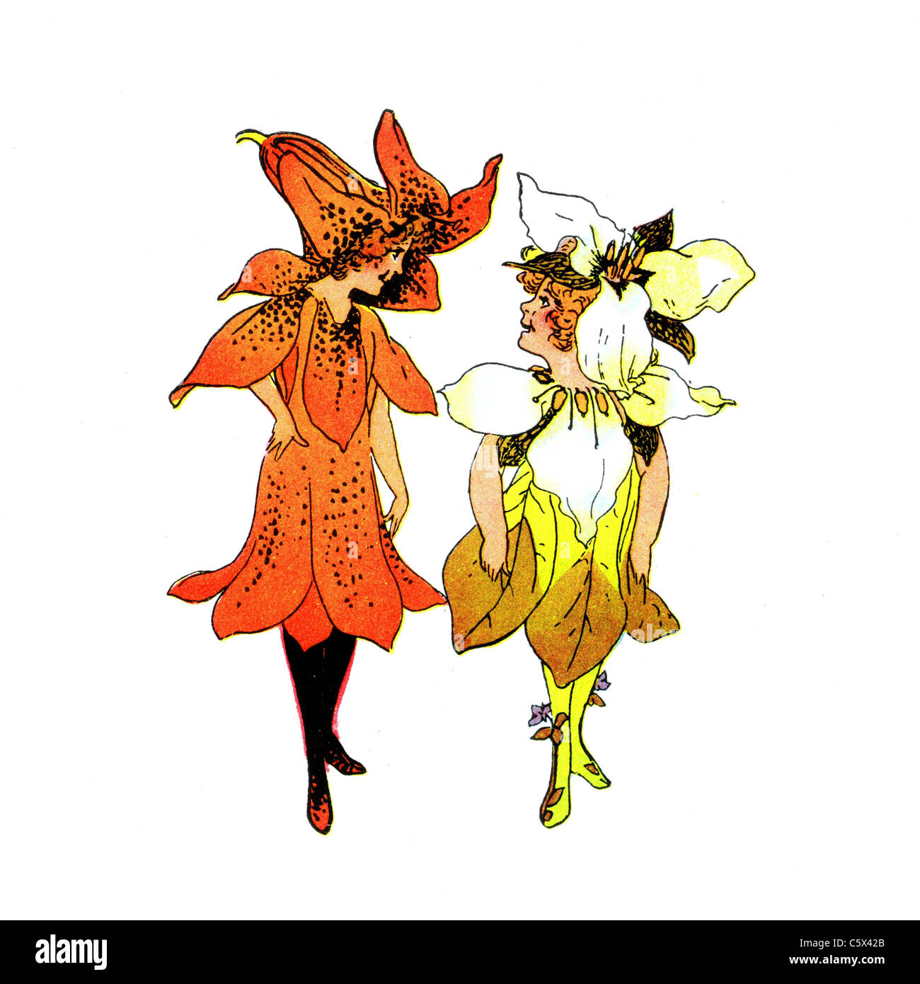 Trillium und Tiger-Lilie - Blumenkind Illustration aus einem antiquarischen Buch Stockfoto