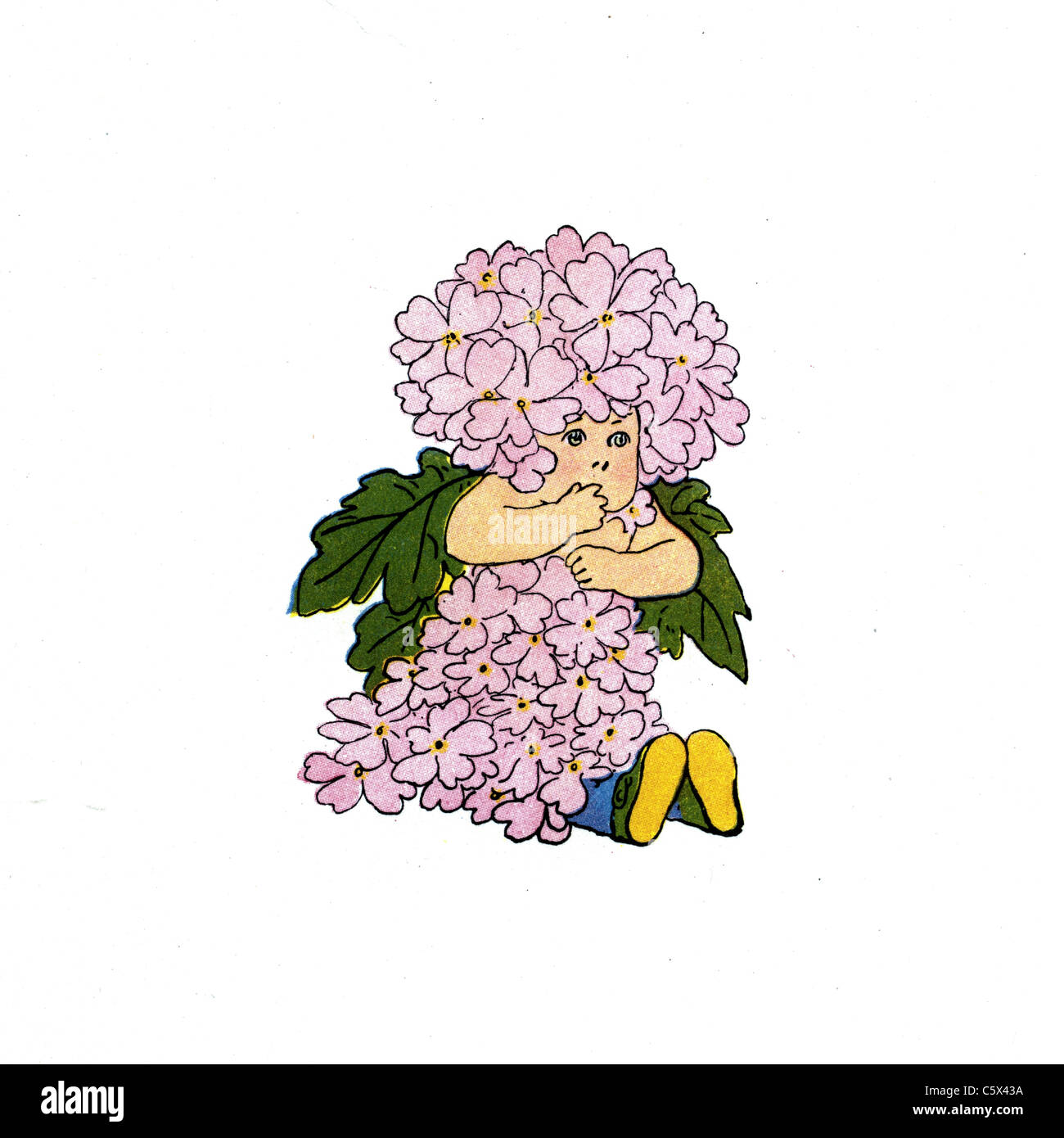 Eisenkraut - Blume Kind Illustration aus einem antiquarischen Buch Stockfoto