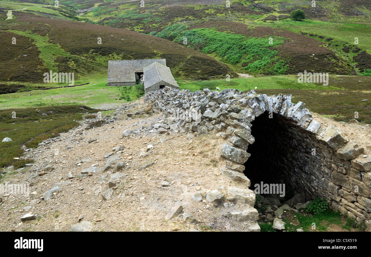 Die Überreste einer Schmelzhütte Mühle und seiner beeindruckenden bergauf Rauchfang, Swaledale, Yorkshire, England Stockfoto