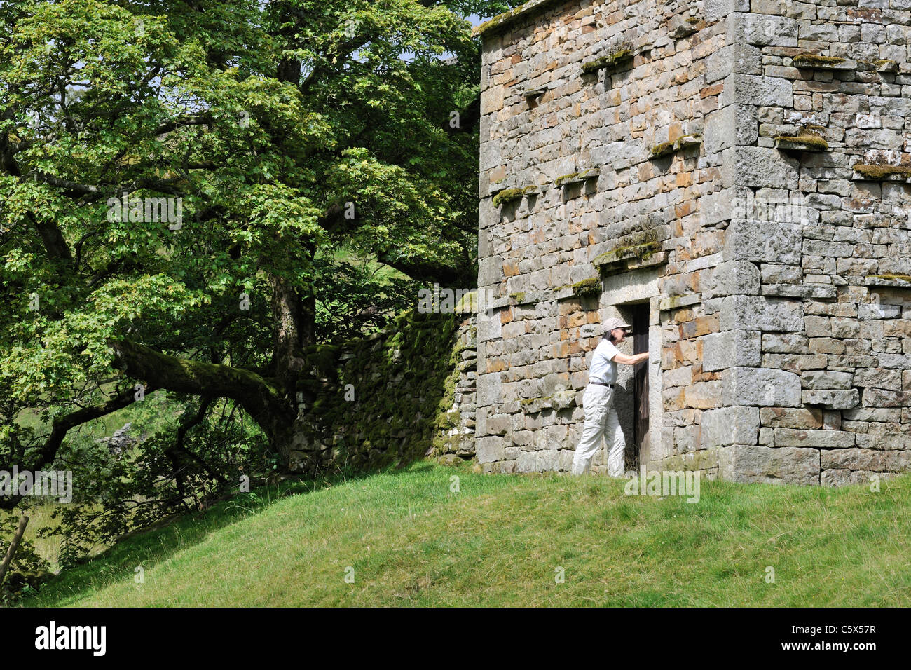 Ein traditionelles Feld Scheune in einer Ecke ein Hochland Wiese, Swaledale, Yorkshire, England Stockfoto