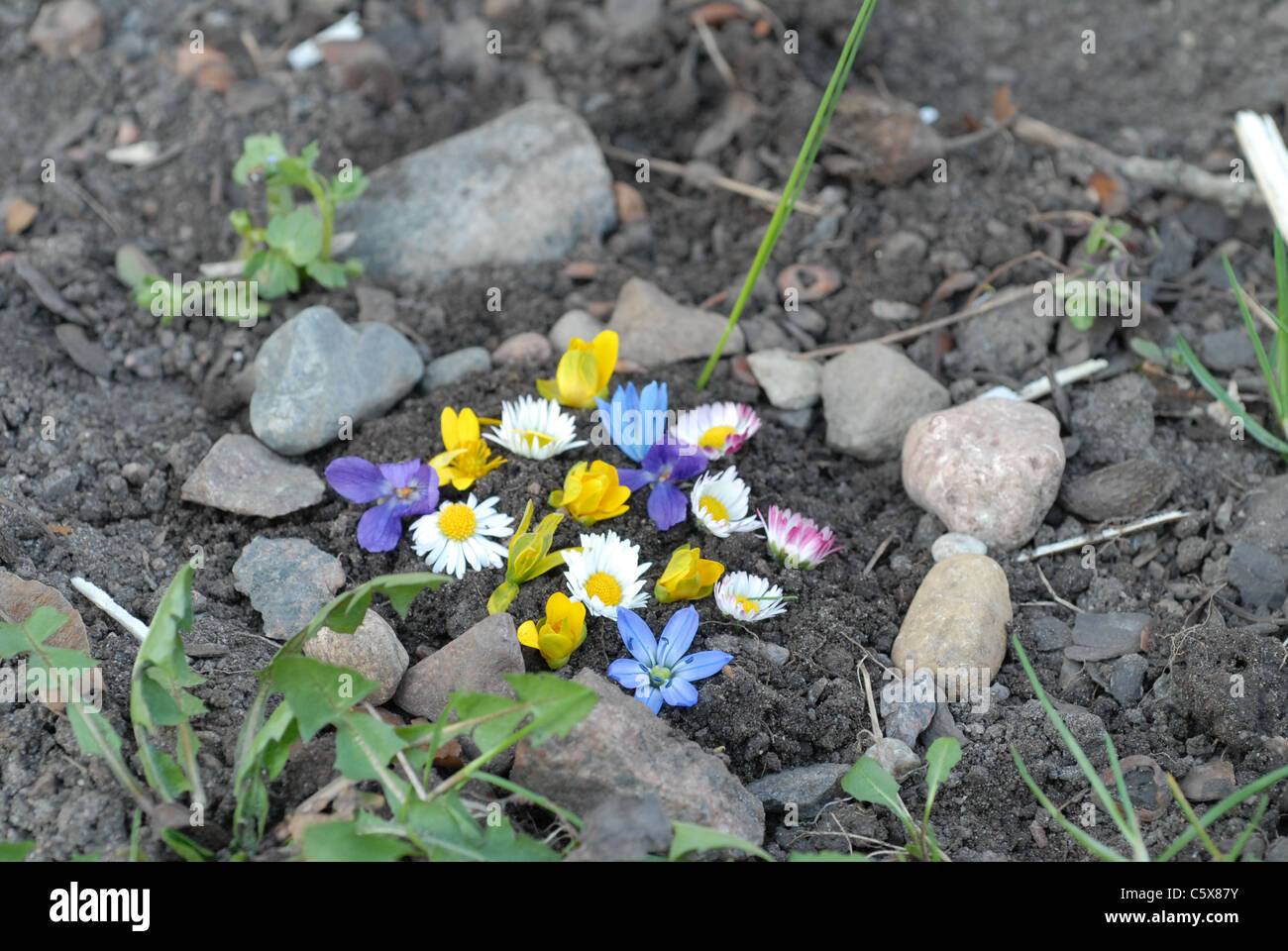 Memorial. Stockfoto