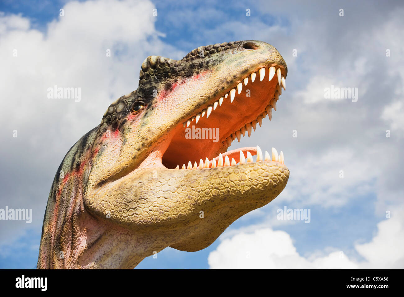 Tyrannosaurus Rex, ausgestorbene Arten modellieren schließen sich Stockfoto