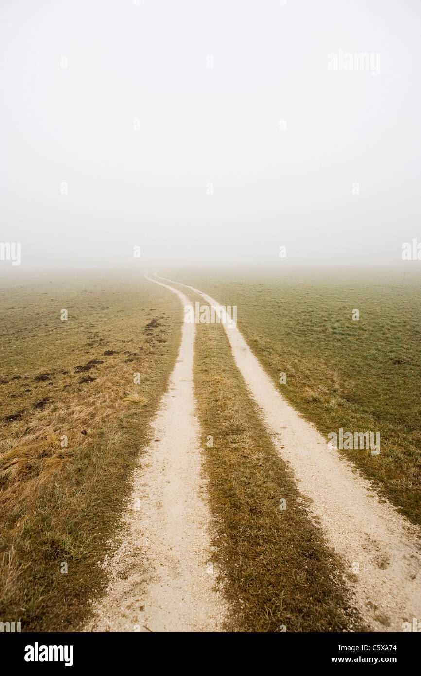Feldweg und Nebel Stockfoto