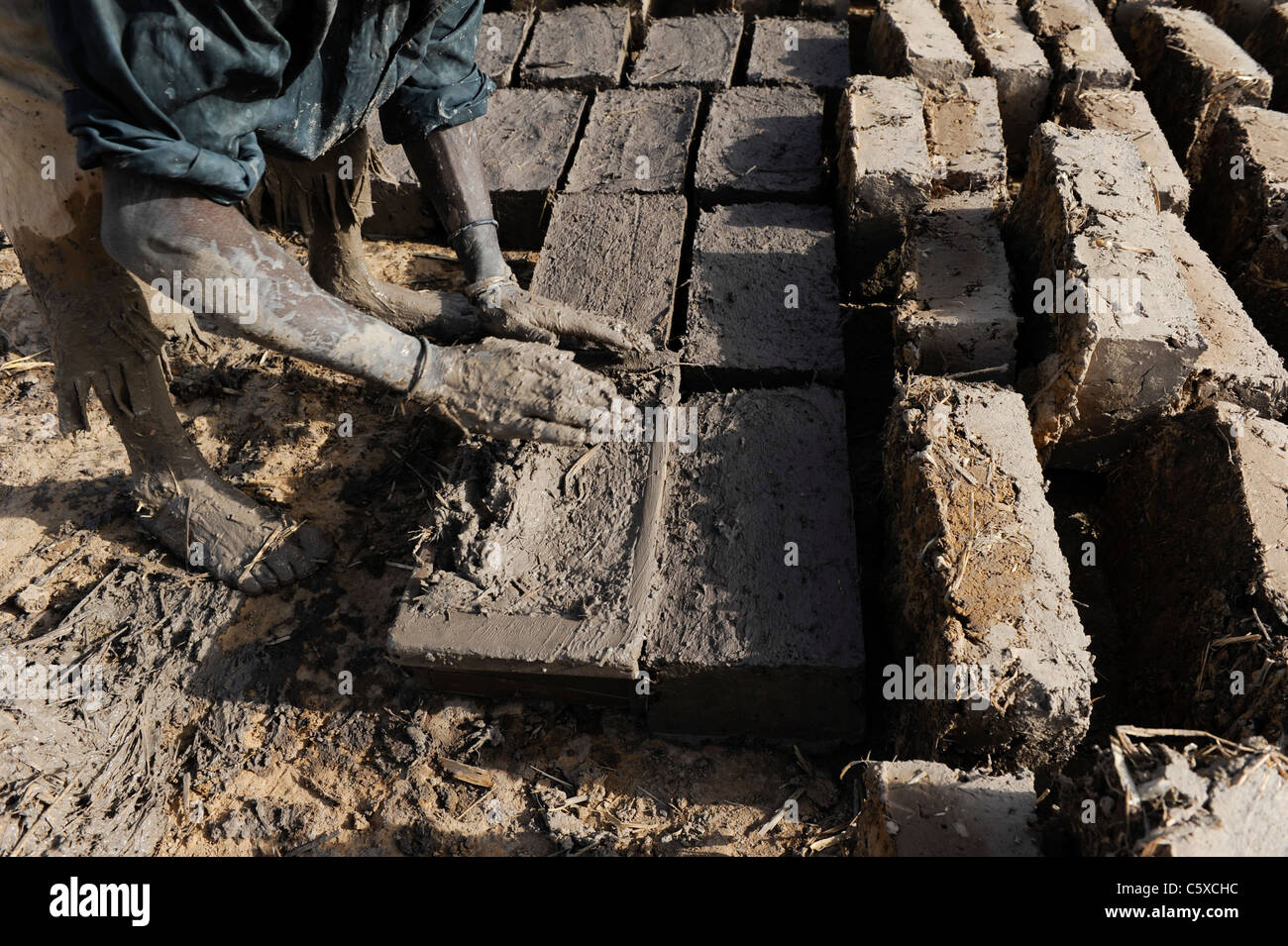 Afrika MALI Mopti, Lehm-Architektur - Arbeitnehmer machen Lehmziegel für Gebäude Stockfoto