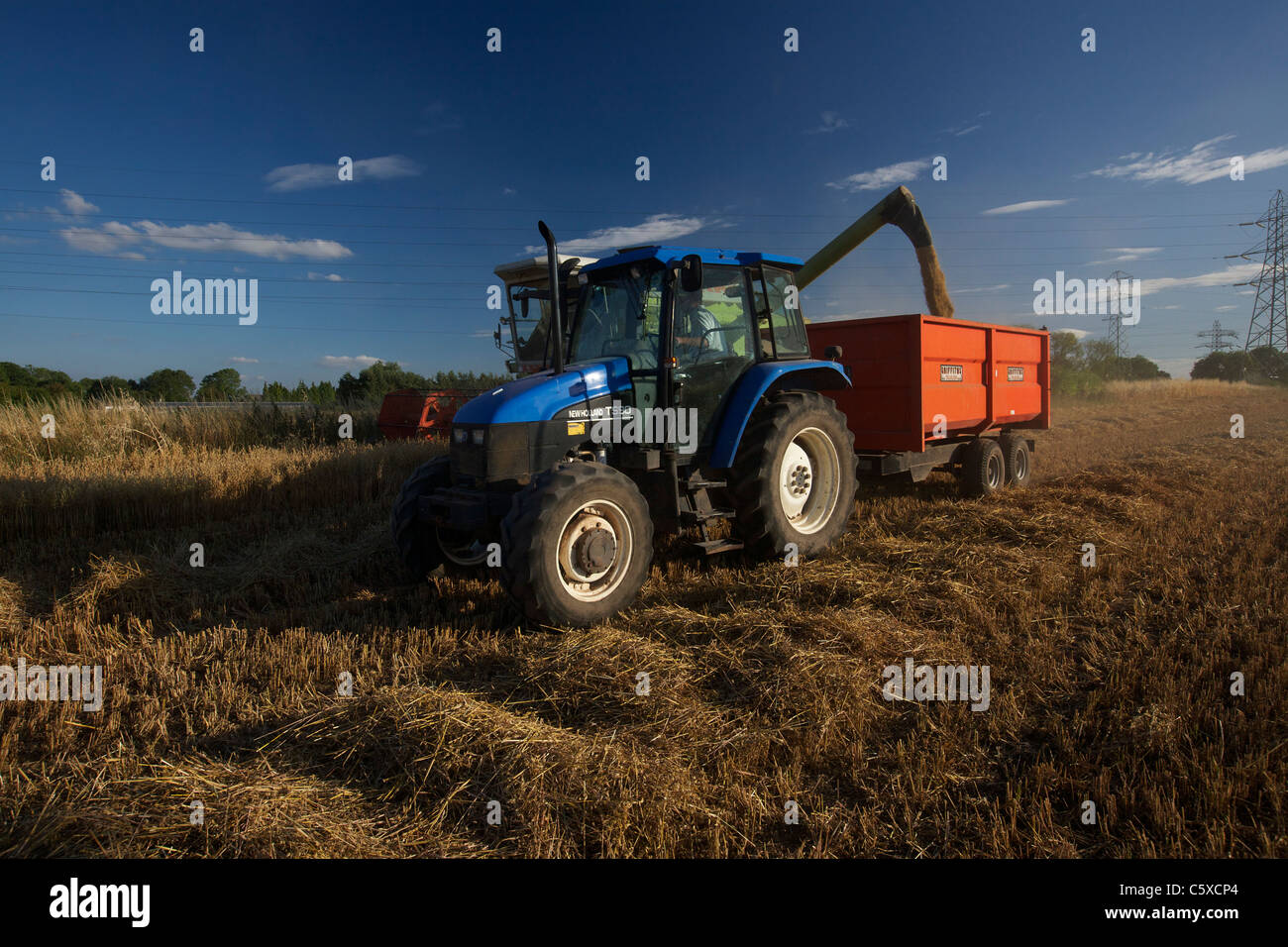 Hafer, der Entlassung aus dem Mähdrescher in Anhänger unterwegs während der Ernte UK Stockfoto
