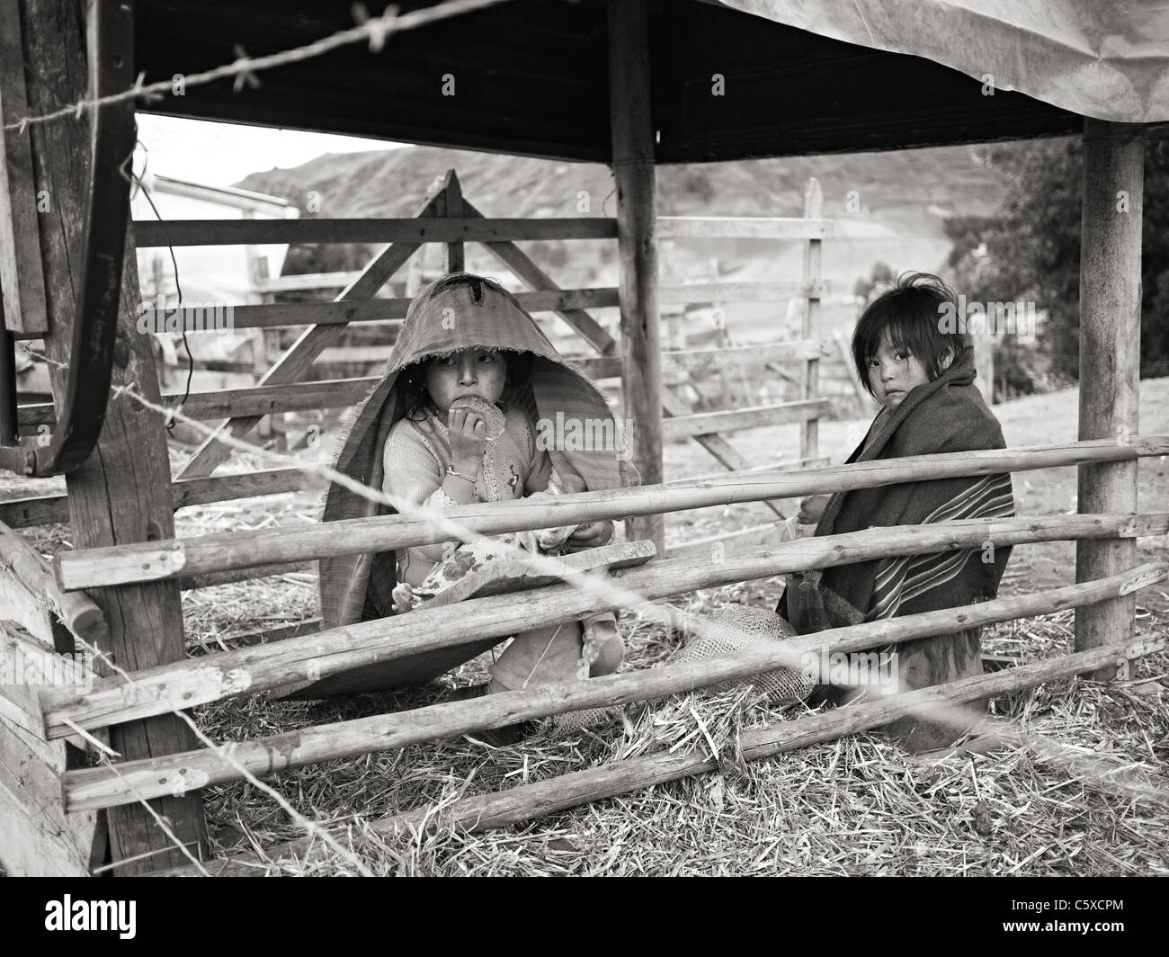 Junge Mädchen versuchen, auf einem Bauernhof in den Anden Südamerikas warm zu halten. Stockfoto