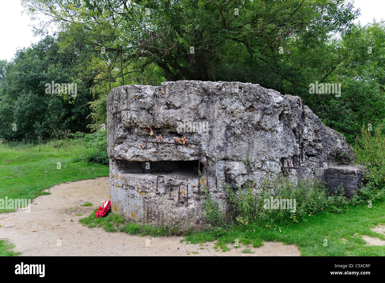 Ruine des ersten Weltkriegs eine deutsche WWI Bunker Hill 60, 14-18-Website bei Zillebeke, West-Flandern, Belgien Stockfoto