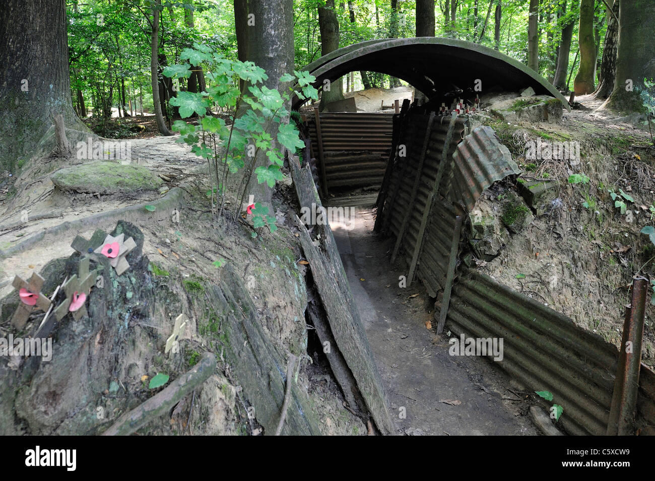 WW1 Graben von einem ersten Weltkrieg 14-18 Heiligtum Holz Museum Hill 62 bei Zillebeke, West-Flandern, Belgien Stockfoto