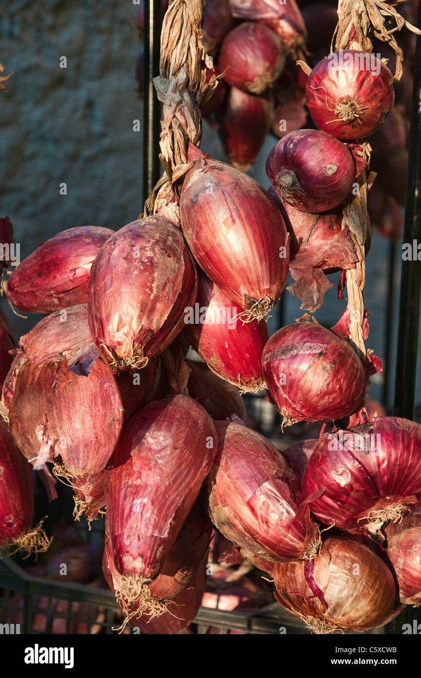 Rote Zwiebeln aus Tropea, Italien Stockfoto