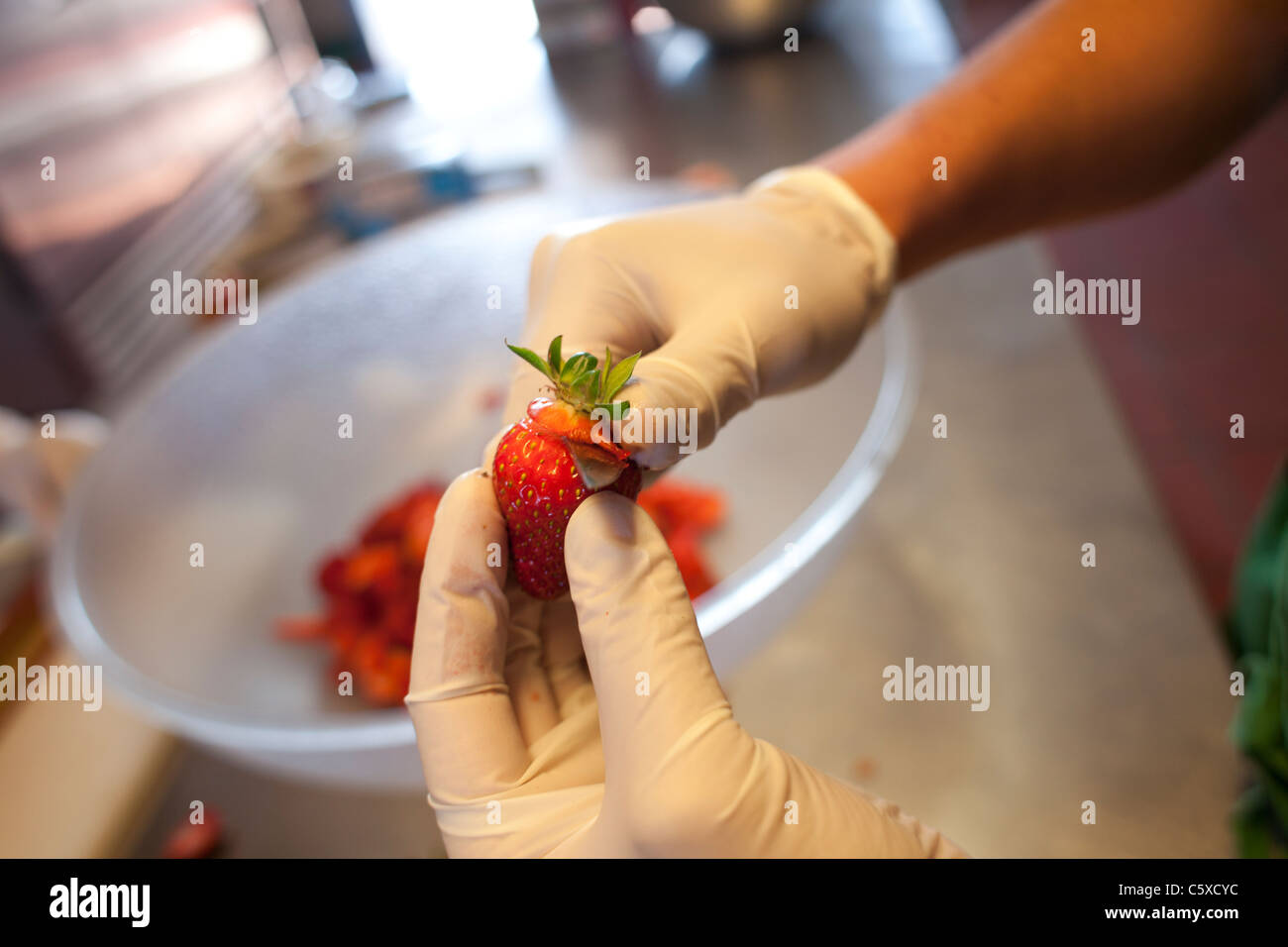 Bio-Erdbeeren, Kalifornien, Swanton Berry Farm Stockfoto