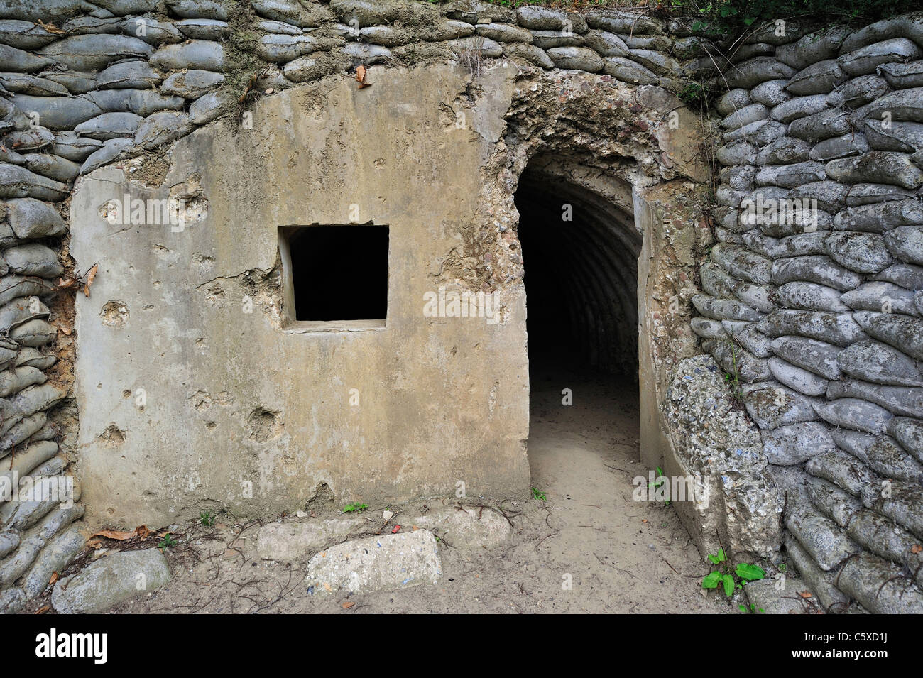 Britische WWI Bunker zeigt Einschusslöcher auf Lettenberg, Erster Weltkrieg 14-18-Website am Kemmel, West-Flandern, Belgien Stockfoto