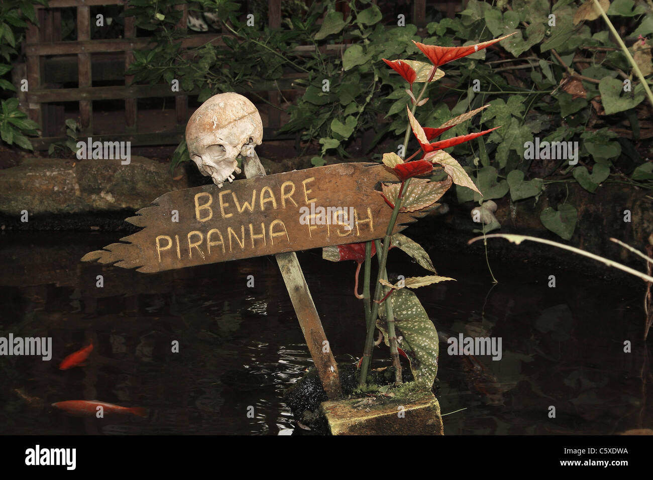 Warnung vor dem tod Fotos und Bildmaterial in hoher Auflösung Alamy