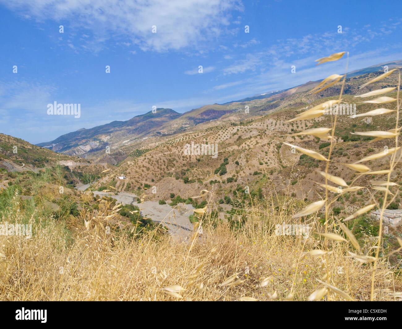 kargen Hügellandschaft in Andalusien, Spanien, Andalusien Stockfoto
