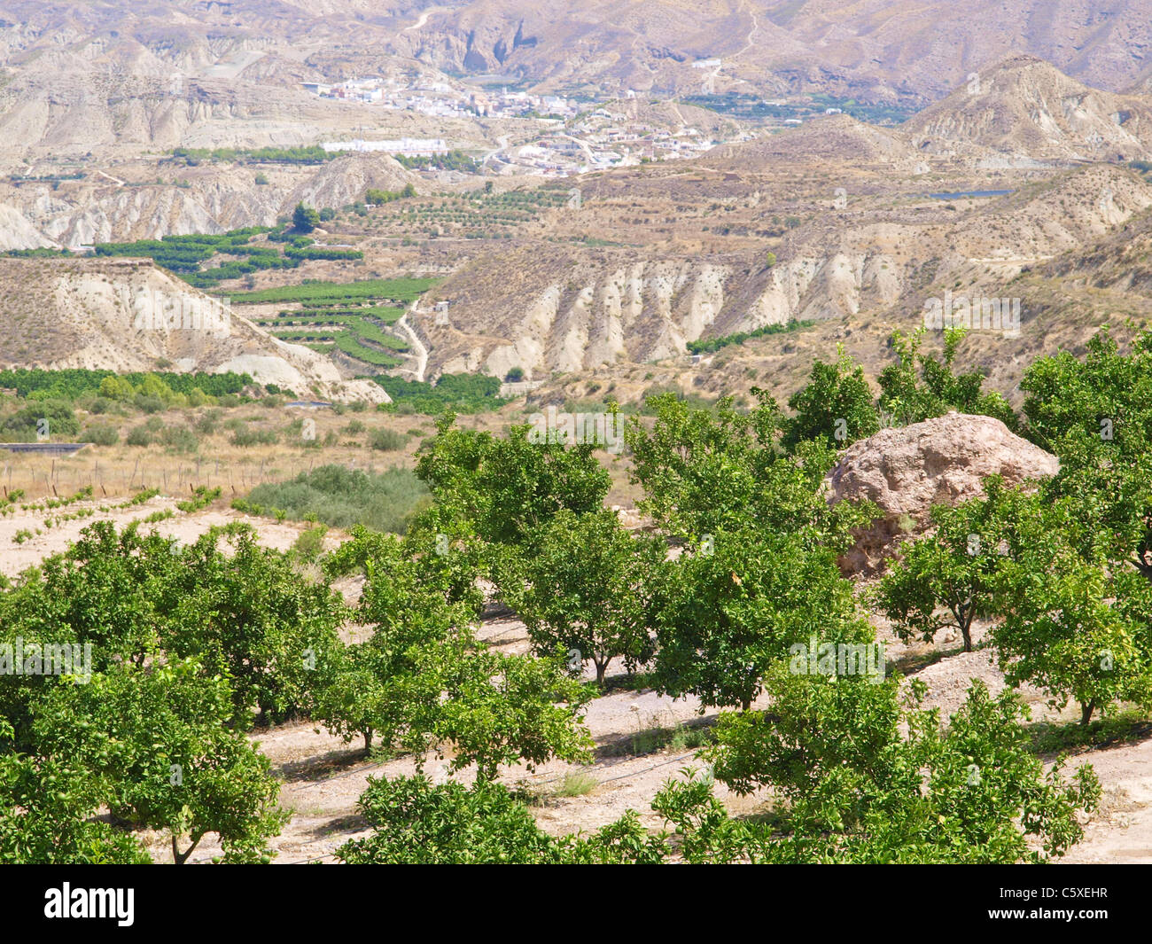 kargen Hügellandschaft in Andalusien, Spanien, Andalusien Stockfoto
