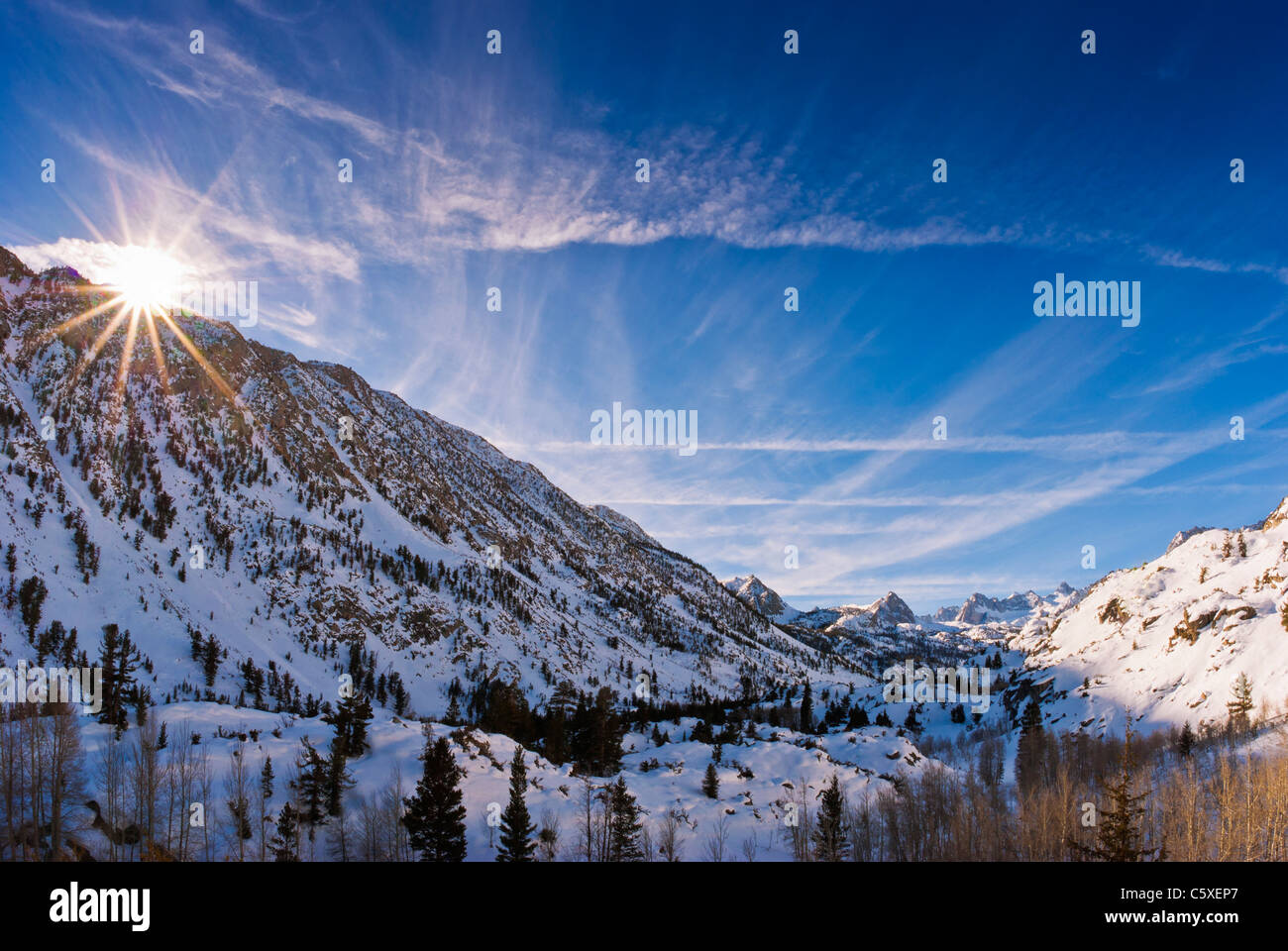 Winter-Sonnenaufgang über dem Bischof Bach, Inyo National Forest, die Berge der Sierra Nevada, Kalifornien Stockfoto