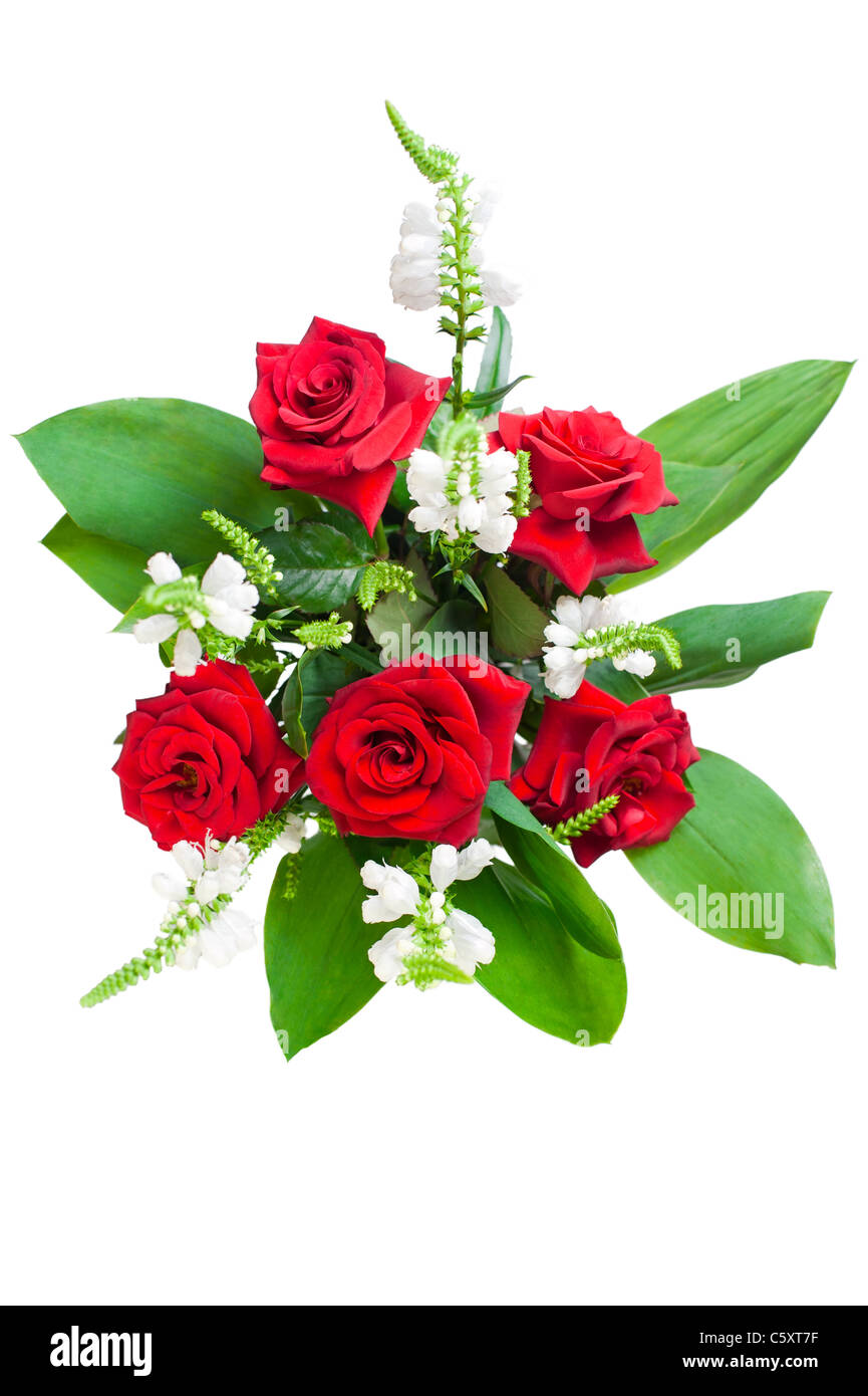 Rote Rosen schönen Blumenstrauß auf weißem Hintergrund Stockfoto