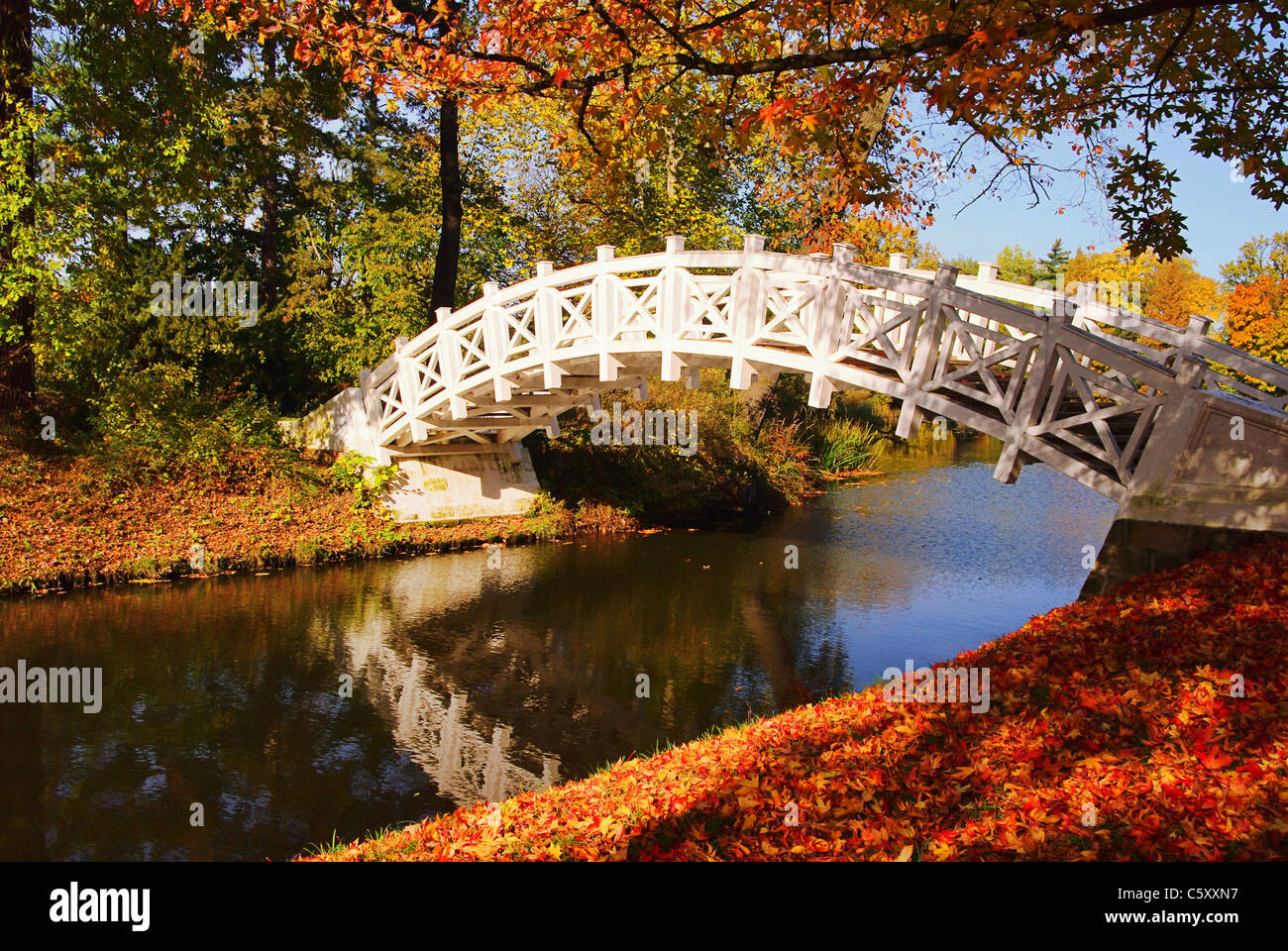 Woerlitzer Park Weisse Bruecke englische Garten von Wörlitz weiße