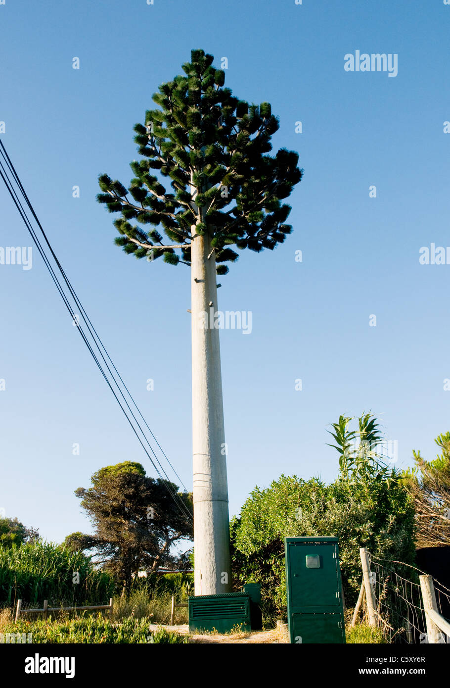 Ein Telekommunikation Mast als Baum verkleidet Stockfoto