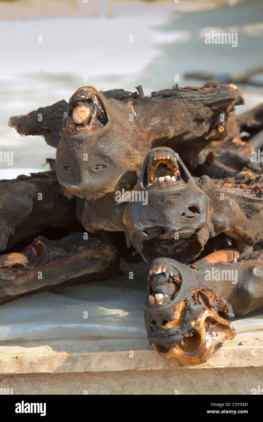 Geräucherte Affen auf einem ländlichen Buschfleischmarkt in der Provinz Tshopo in der Demokratischen Republik Kongo Stockfoto