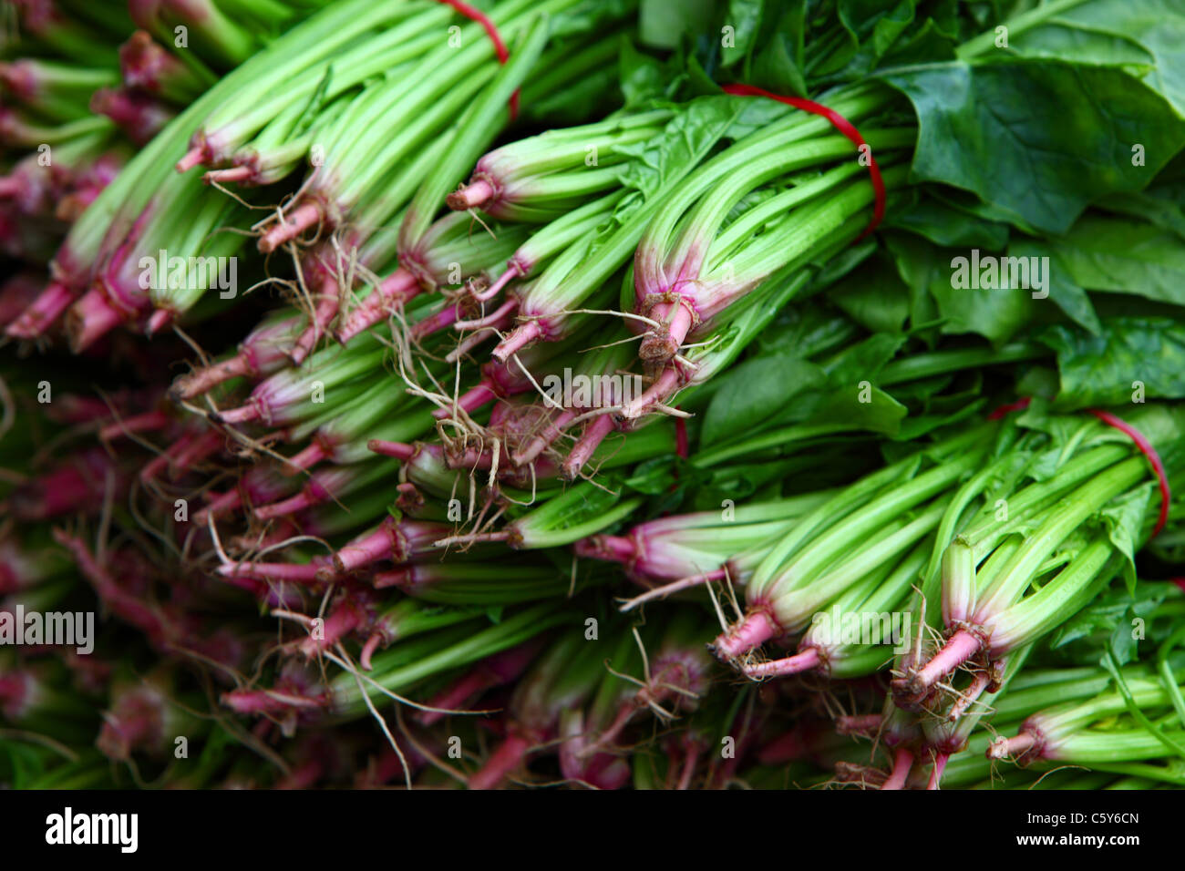 Frisches Obst und Gemüse auf dem Display an Paddy es Market in Sydney Australia Stockfoto