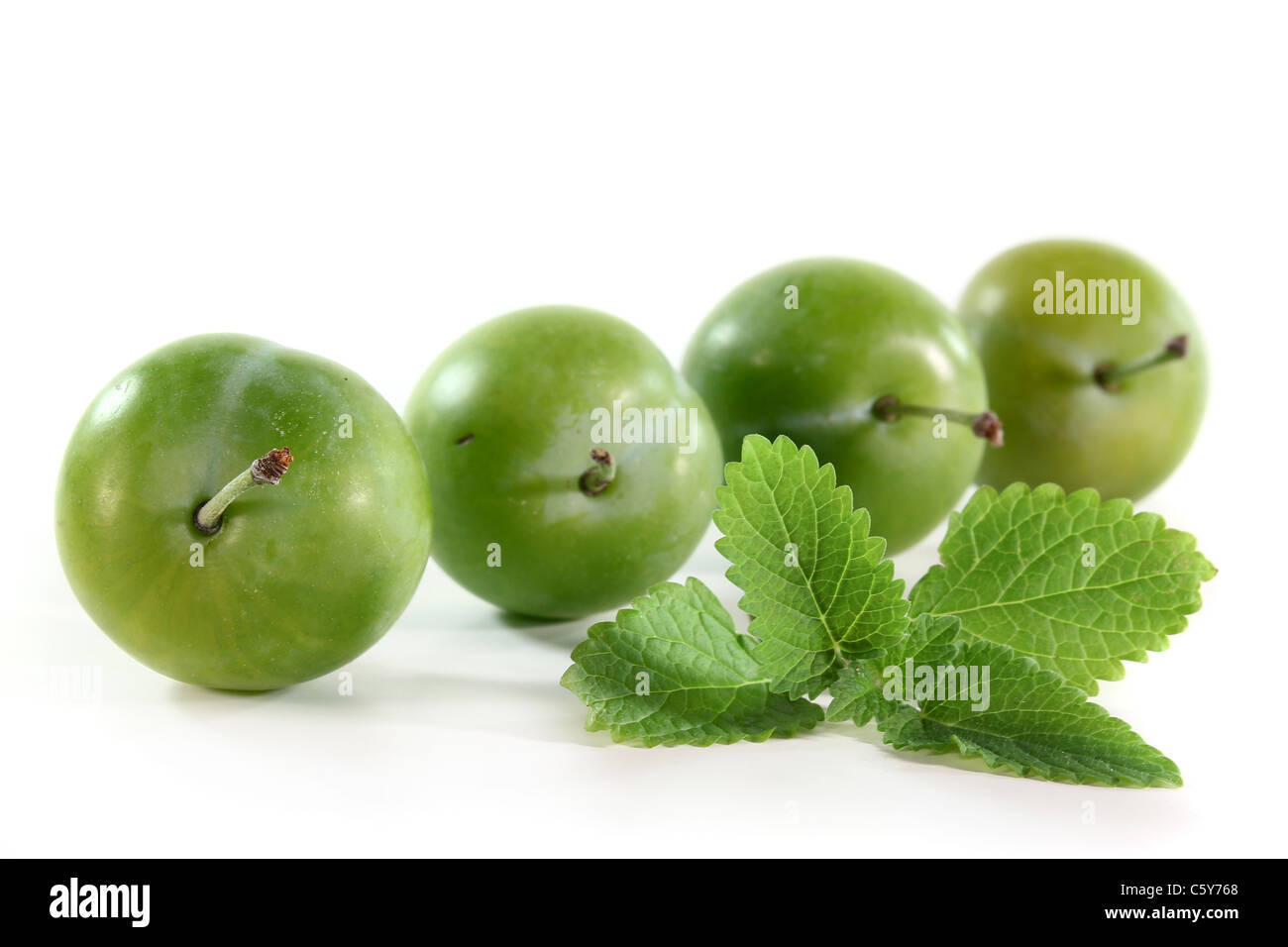 frische grüne Pflaumen auf weißem Hintergrund Stockfoto