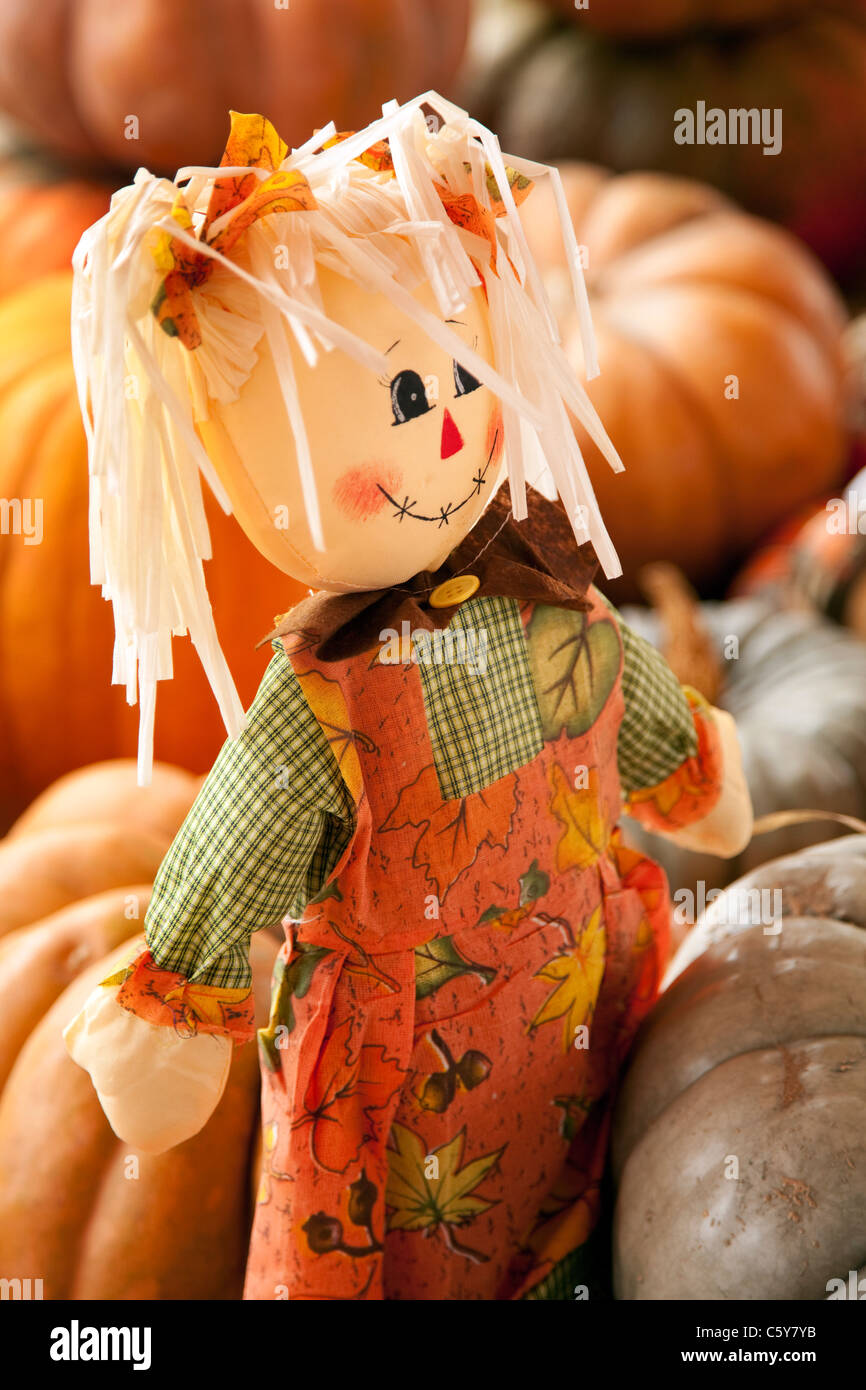 Ein Herbst, Thanksgiving oder Halloween Oktober Lappen-Puppe um Kürbisse im vertikalen Format. Stockfoto