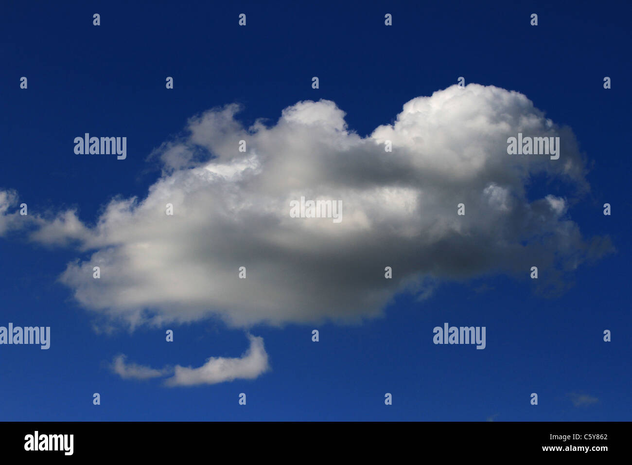 Dünne hohe Wolken, Himmel, Cumulus Wolken, Vertikale Wachstumsgruppe, geschwollene weiße, Hellgrau, Wolken, schwebend, landschaftlich, Stratosphäre, Atmosphäre, Wetter, Luft Stockfoto