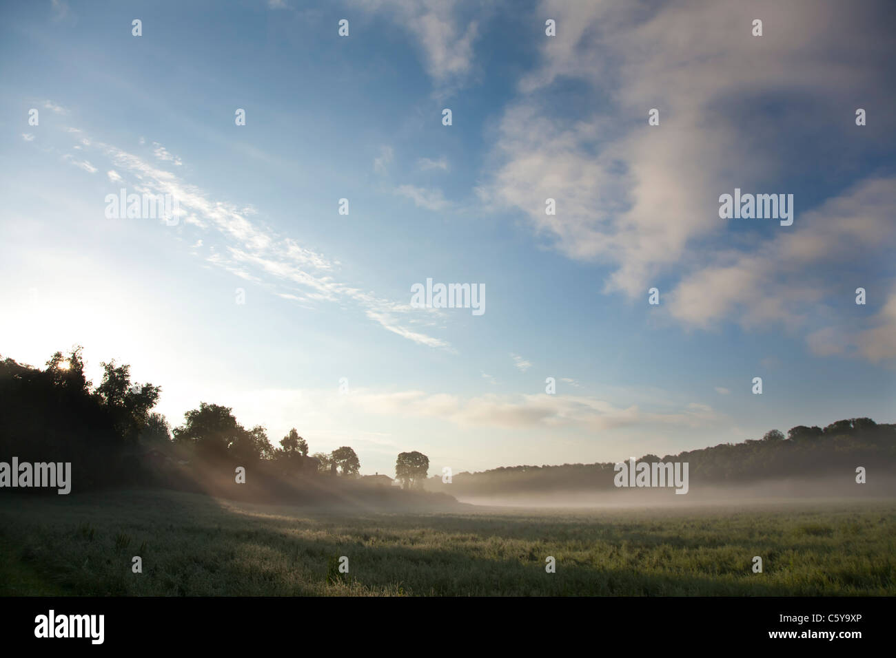 Die Sonne ist hinter den weit entfernten Bäumen, Gießen lange Strahlen des Lichtes durch den dicken Nebel über dem Feld Stockfoto
