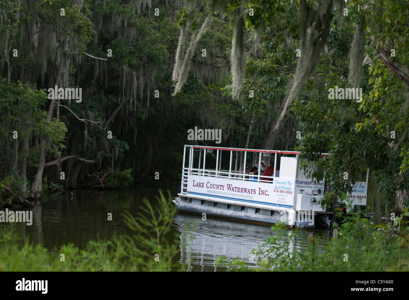 Sightseeing auf dem Mount Dora Kanal in Lake County Florida USA Stockfoto