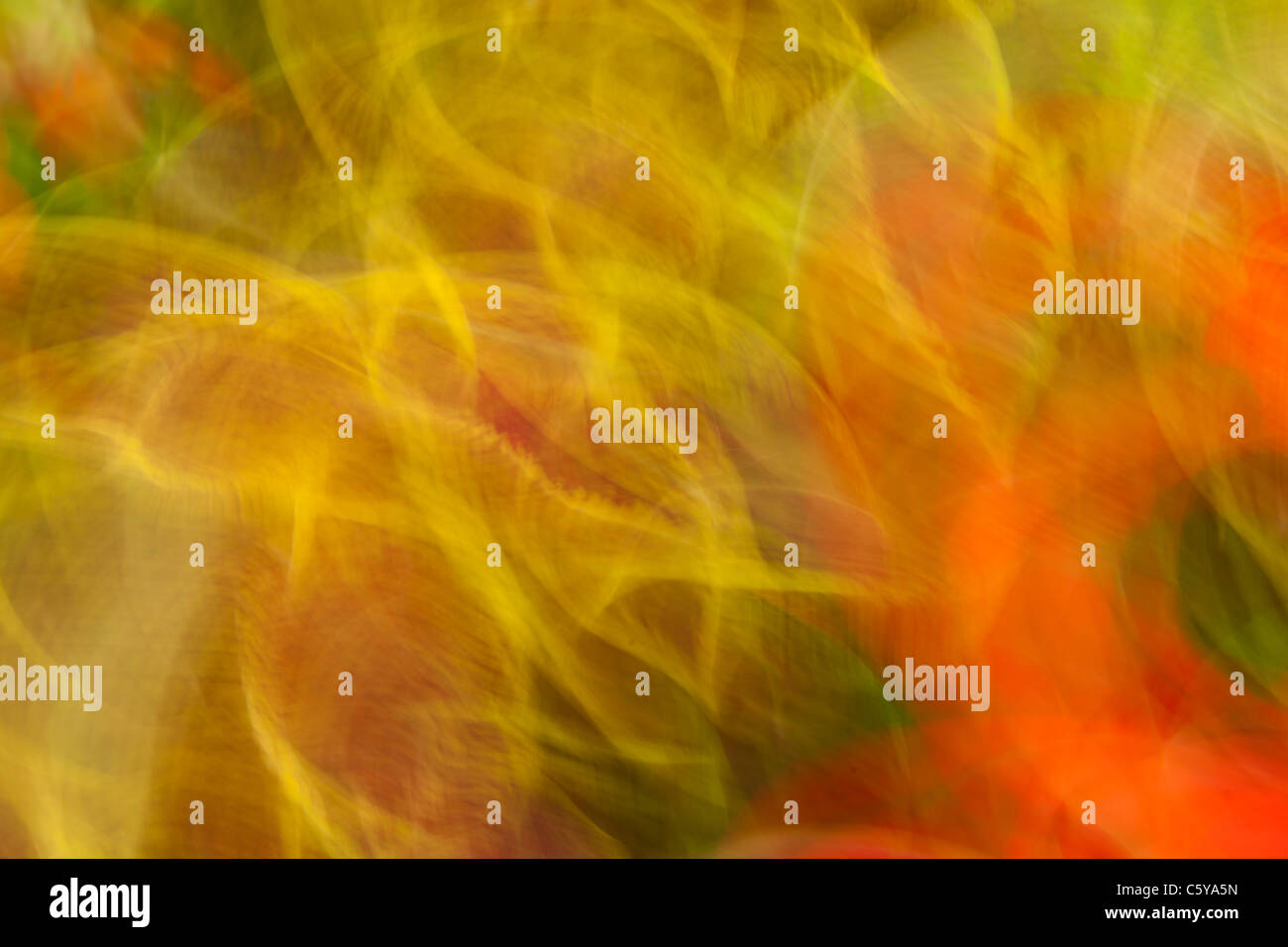 Kunst-Natur-Fotografie Stockfoto