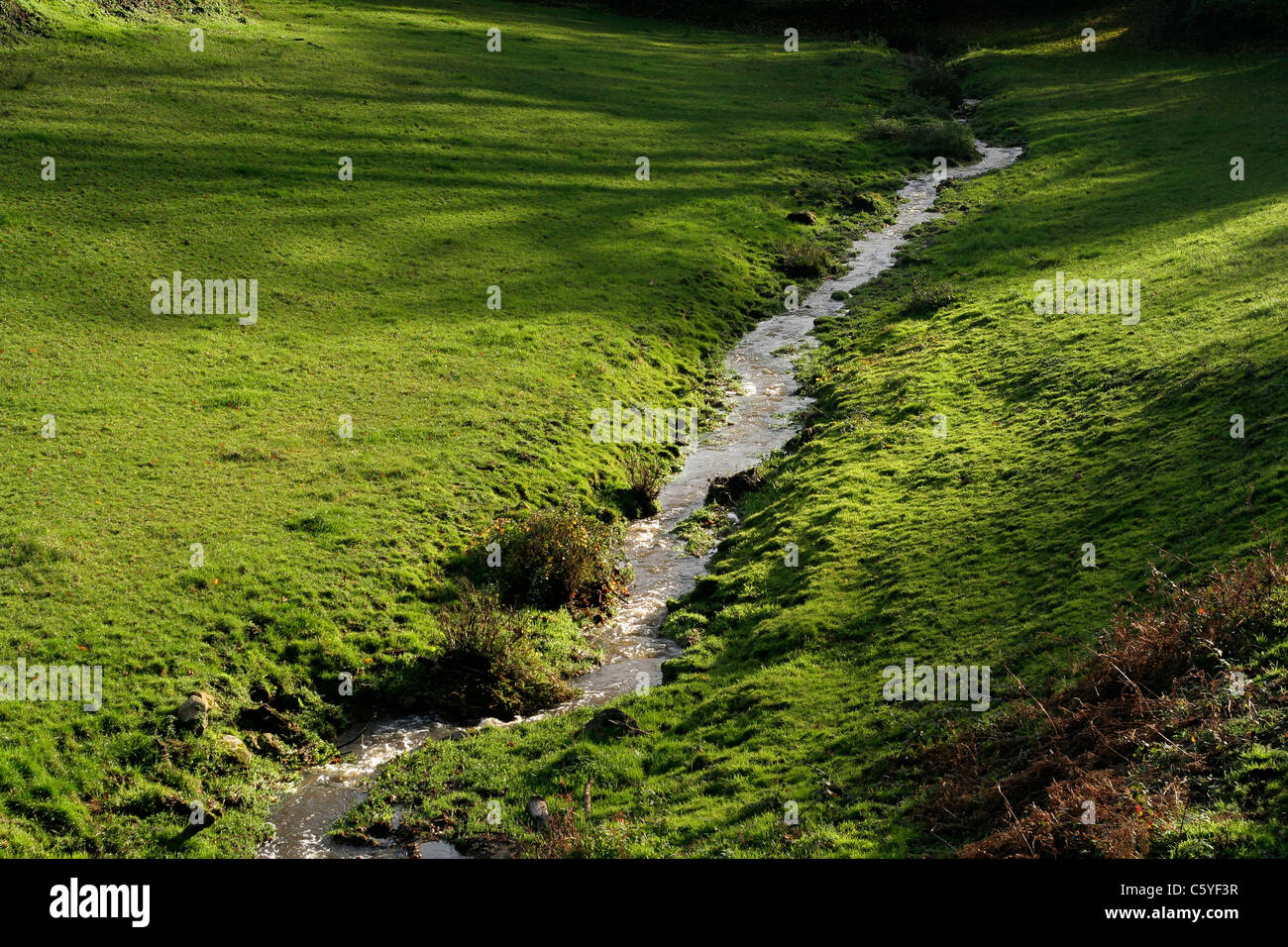 Ein kleiner Bach fließt durch eine Wiese (Mayenne, Pays De La Loire, Frankreich). Stockfoto
