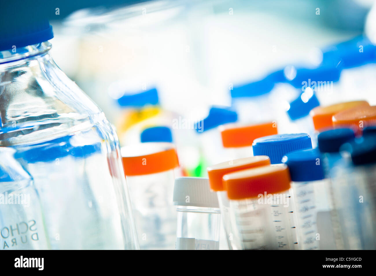 Glas-Reagenzgläser mit farbige Tops auf Bank-Seite im Wissenschaftslabor Stockfoto