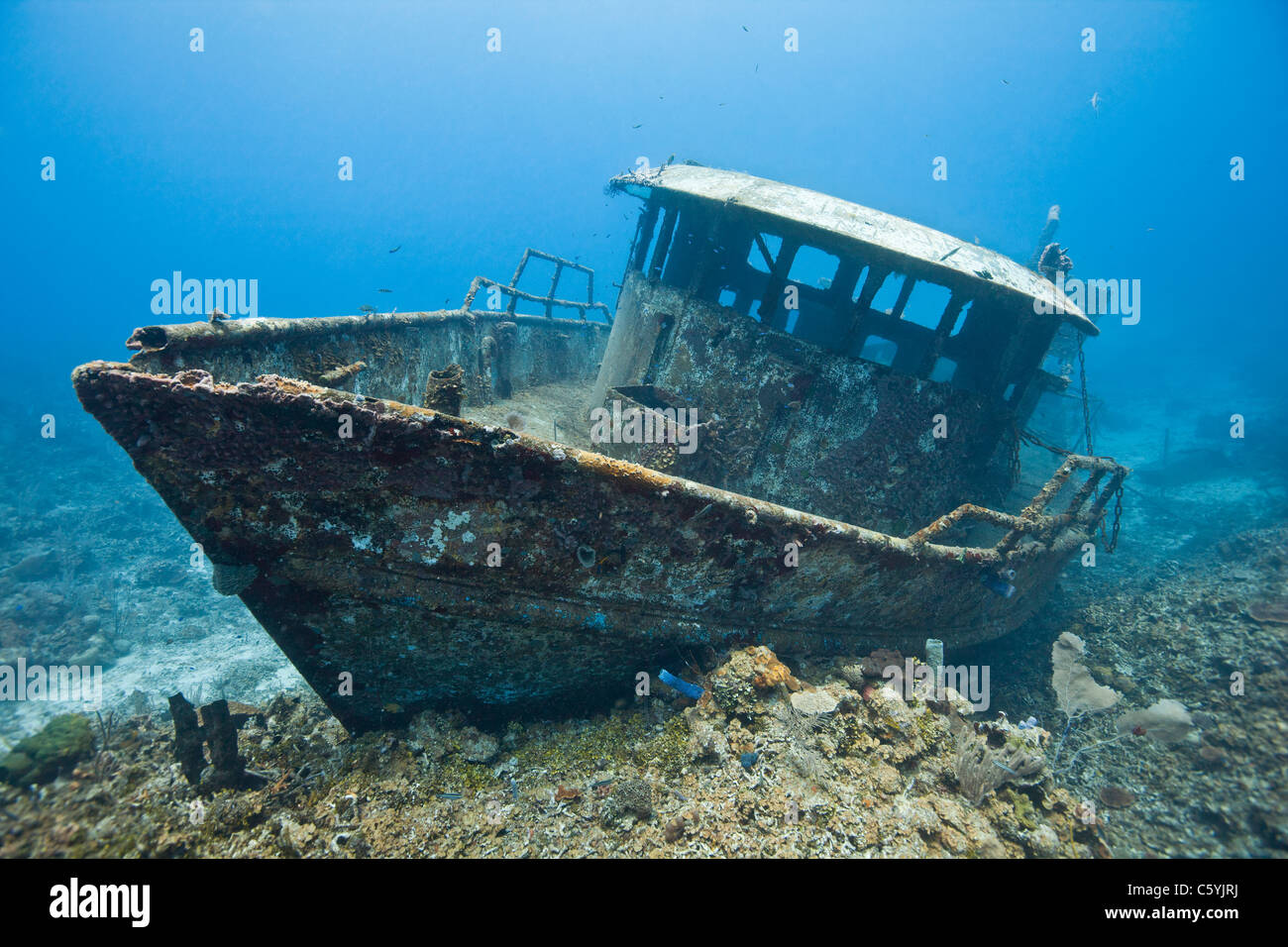 Das Wrack der Mr Bud, einem ehemaligen Garnelenfischerei Boot versenkt vor der Insel Roatan, Honduras Stockfoto