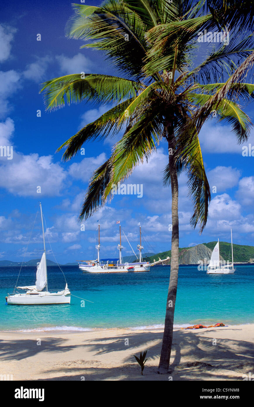 Die schönen Buchten von Peter Island in den British Virgin Islands (BVIs) locken Bootsfahrer Segeln in der Karibik zu verbringen einige Zeit an Land. Stockfoto