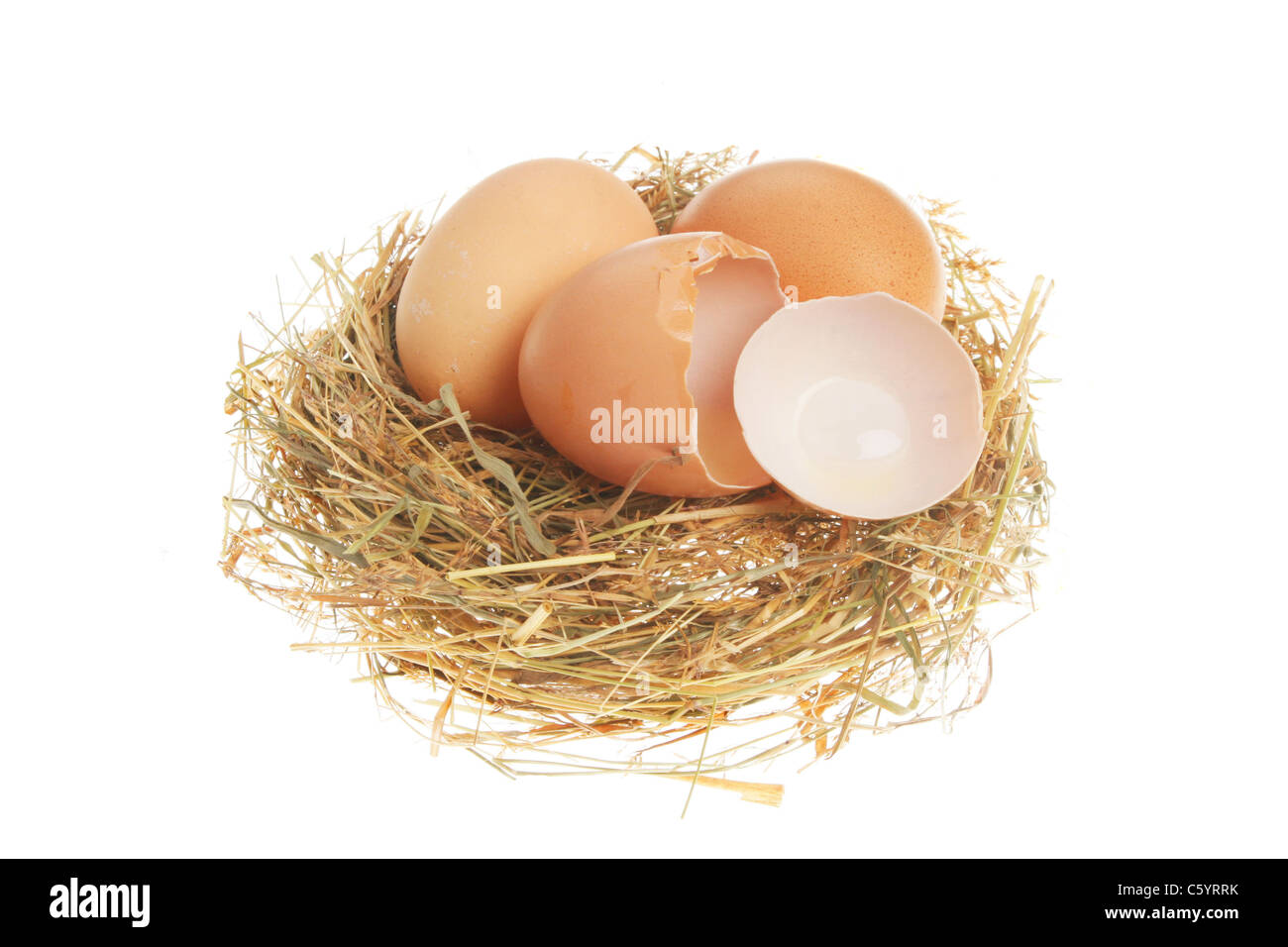 Ganze und gebrochene Bruteier auf ein Nest aus Stroh Stockfoto