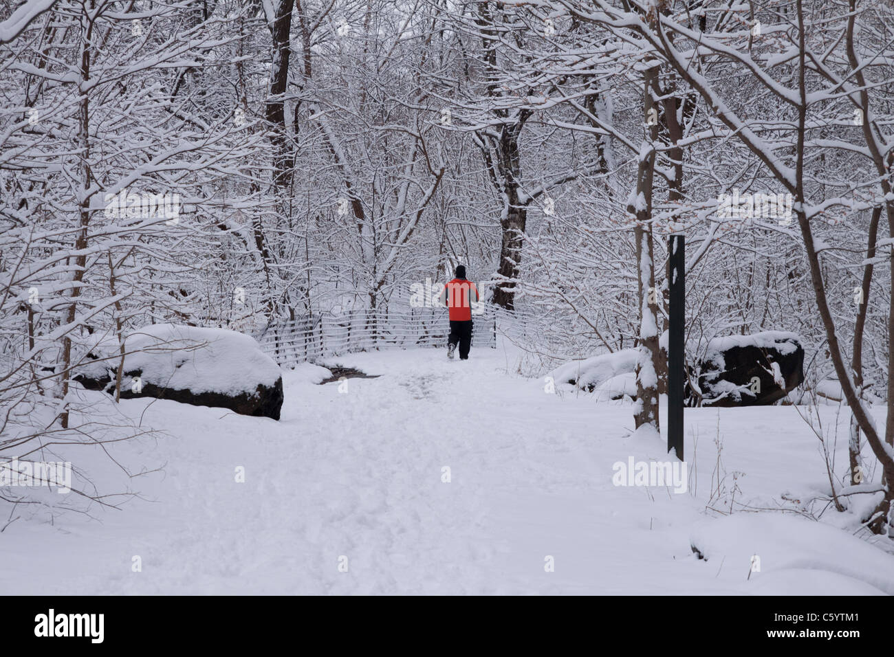 Ein Mann läuft durch einen tief verschneiten Central Park in New York, USA Stockfoto