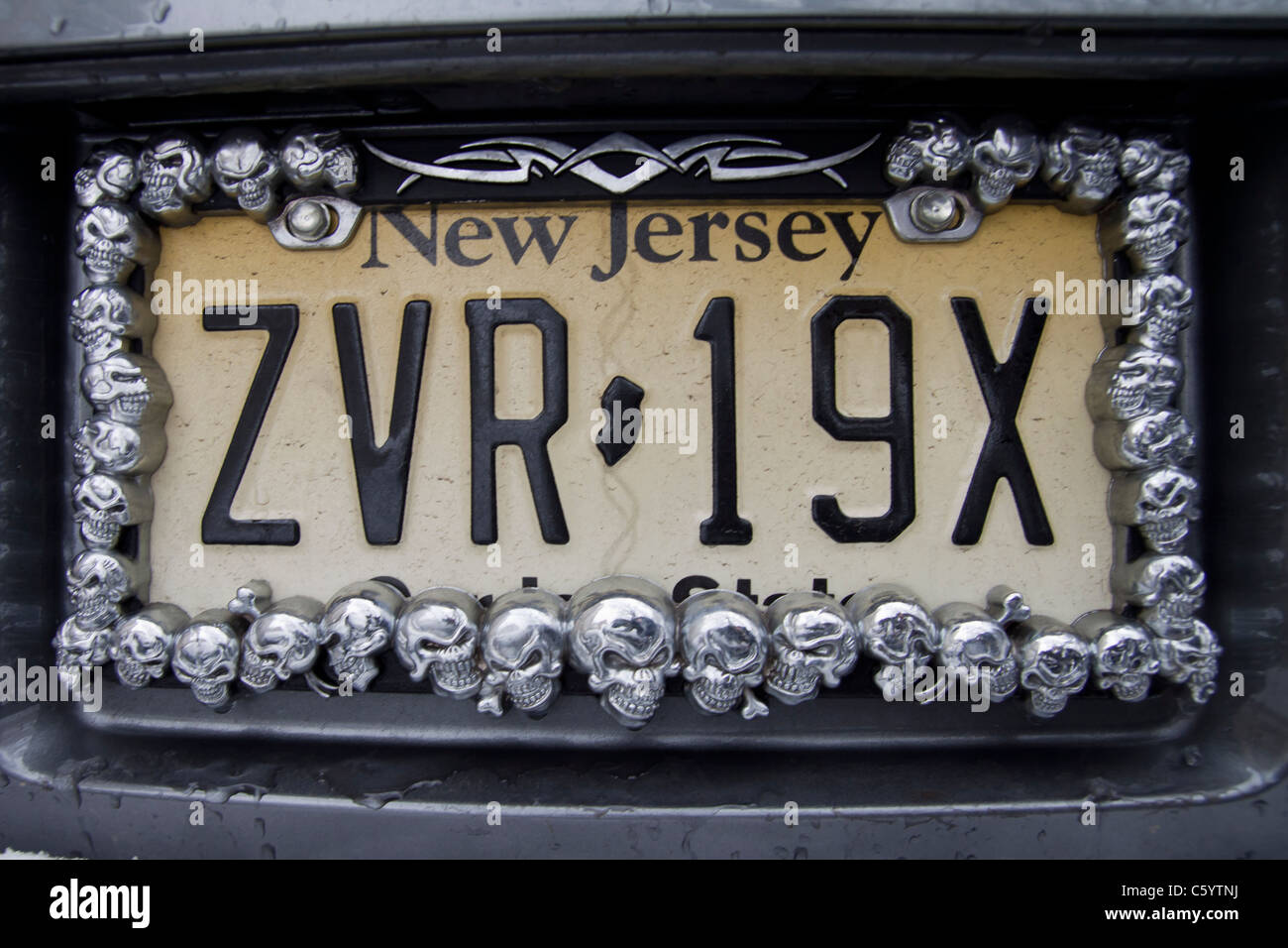 Ein New Jersey Nummernschild mit Totenkopf Dekoration Stockfotografie -  Alamy