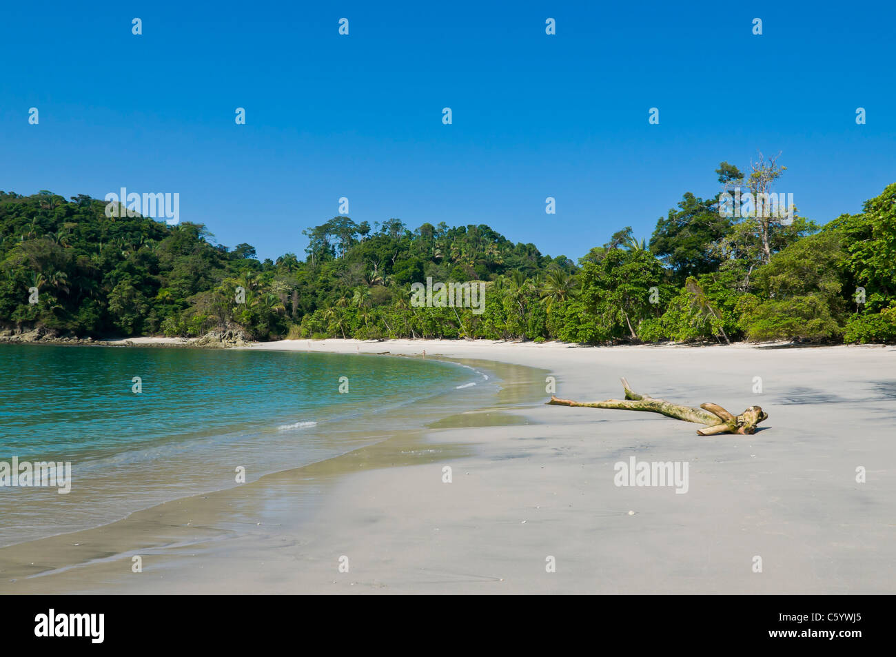 White Sand Beach Manuel Antonio National Park Puntarenas Costa Rica Stockfoto