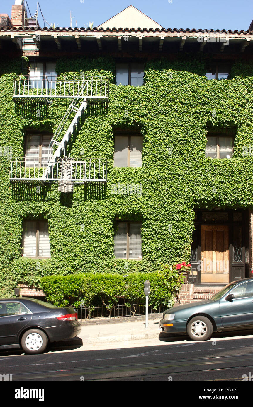 Haus bedeckt in den Blättern in die Nob Hill Viertel von San Francisco Stockfoto