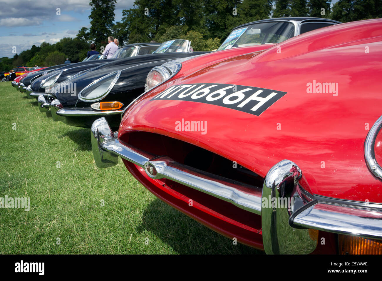 E-Type Jaguar Cars Stockfoto