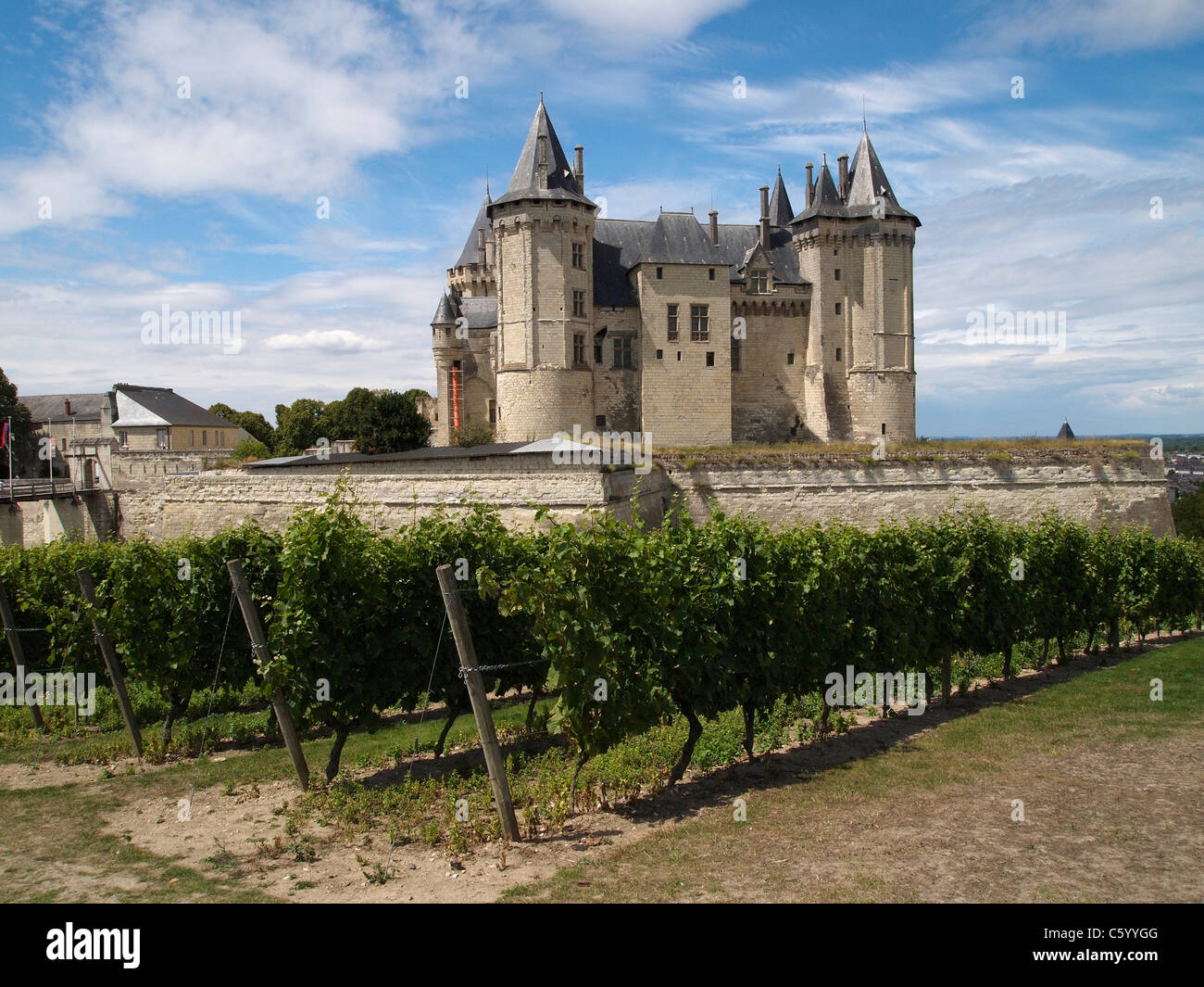 Das Chateau de Saumur Schloss mit Trauben wachsen in den Vordergrund. Loire-Tal, Frankreich Stockfoto