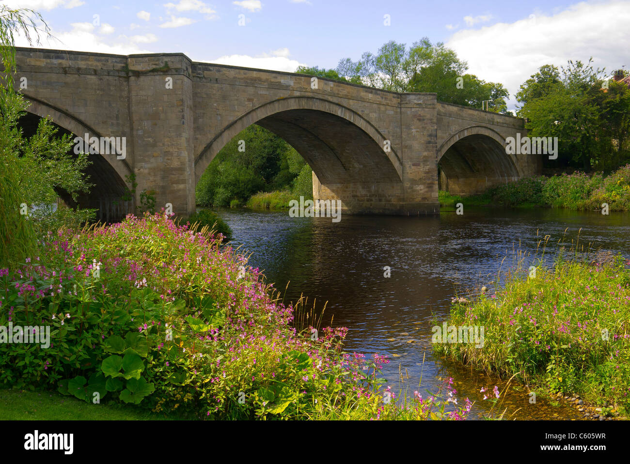 Drei gewölbten Stein Straßenbrücke über den Fluss Tees an Piercebridge Co Durham im Sommer Stockfoto