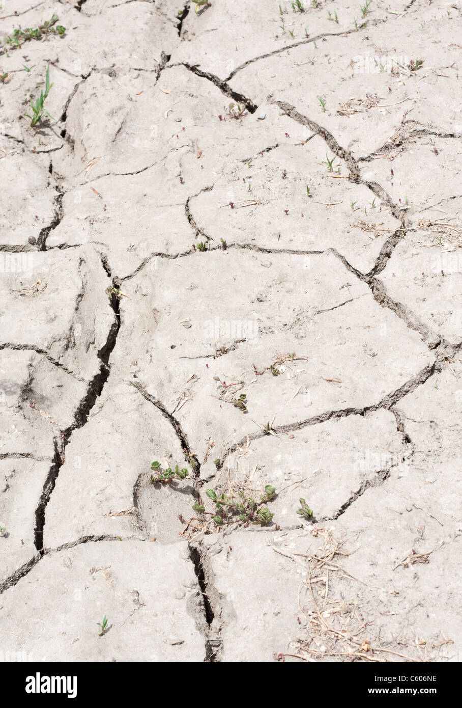 Eine Strecke von rissige, ausgetrocknete, trockenes Land wegen Trockenheit. Stockfoto
