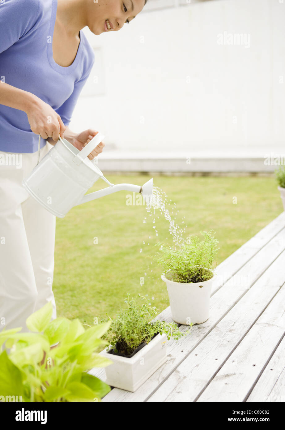 Frau Bewässerung Pflanzen Stockfoto