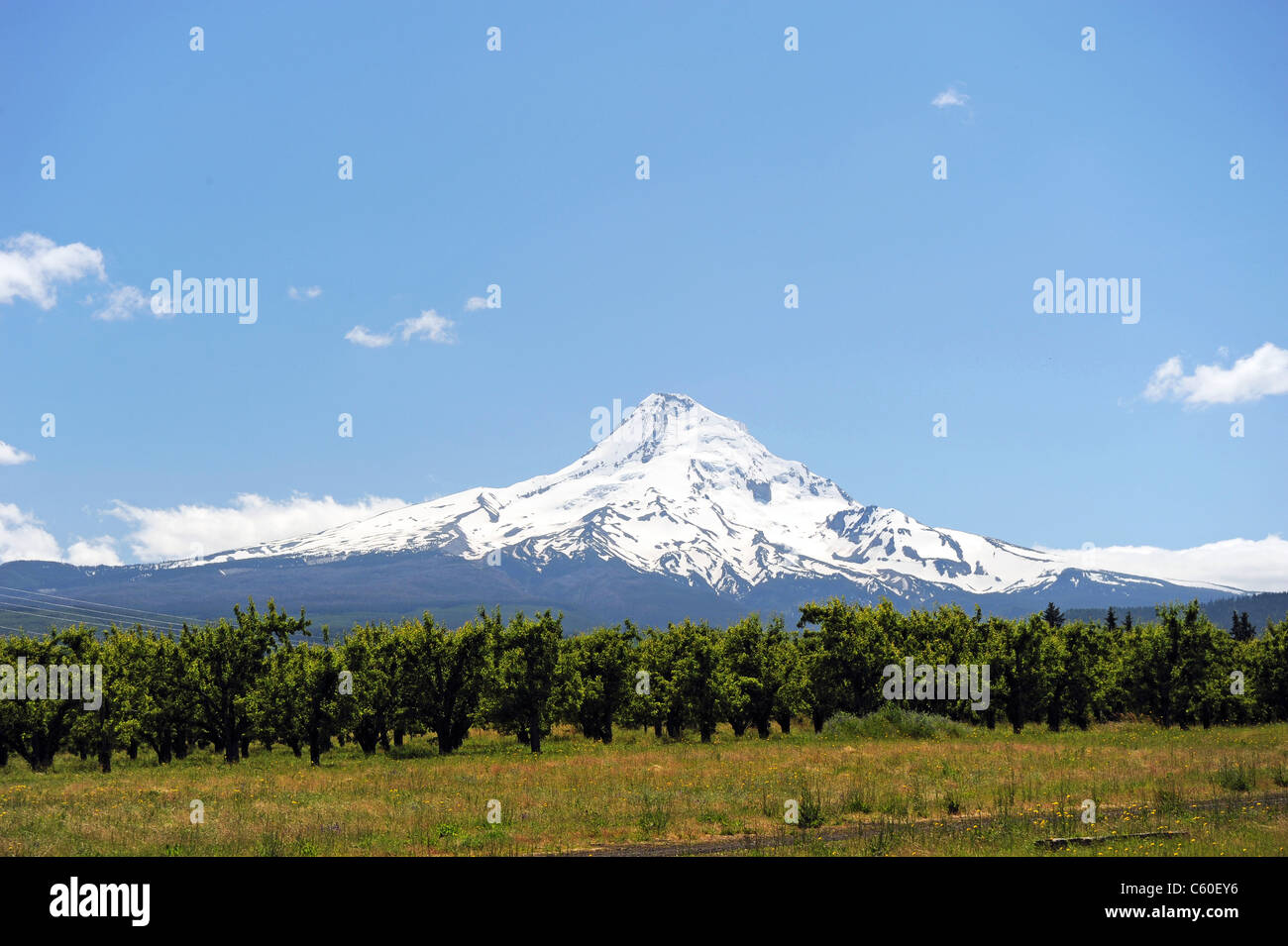 Mount Hood, Oregon. Stockfoto