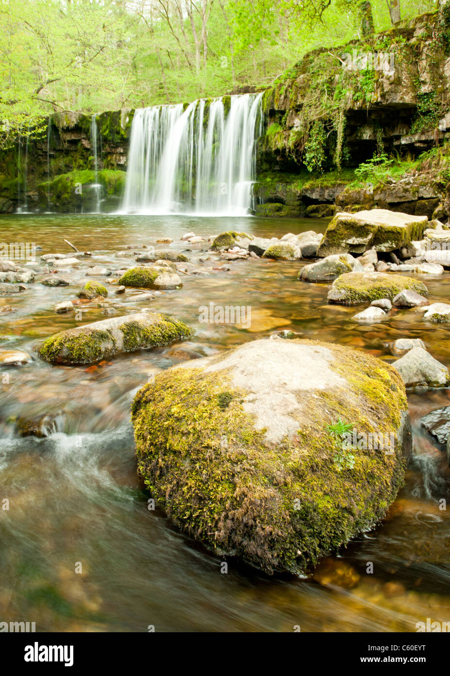 Sgwd Gwladus (Lady Fälle), Brecon Beacons National Park, Wales. Stockfoto