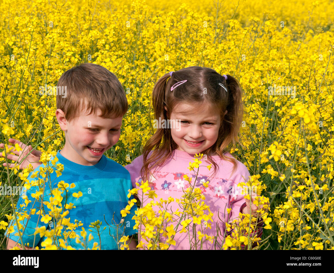 Jungen und Mädchen in einem Feld von gelben Raps im Frühjahr in Chesham, Bucks, Großbritannien Stockfoto